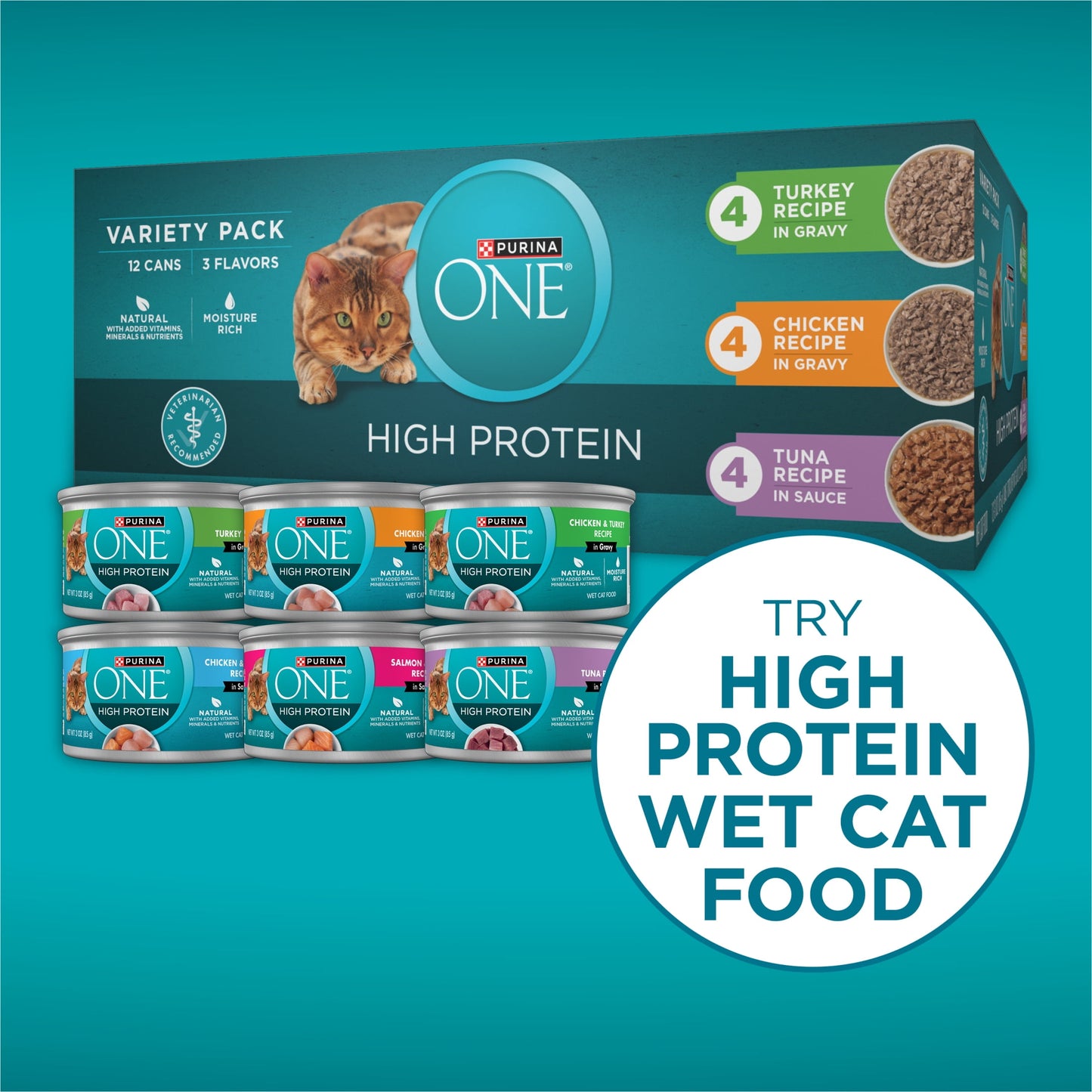 (2 pack) Purina ONE Plus Natural High Protein Dry Cat Food Salmon and Ocean Whitefish Skin and Coat Health Formula, 3.5 lb Bag