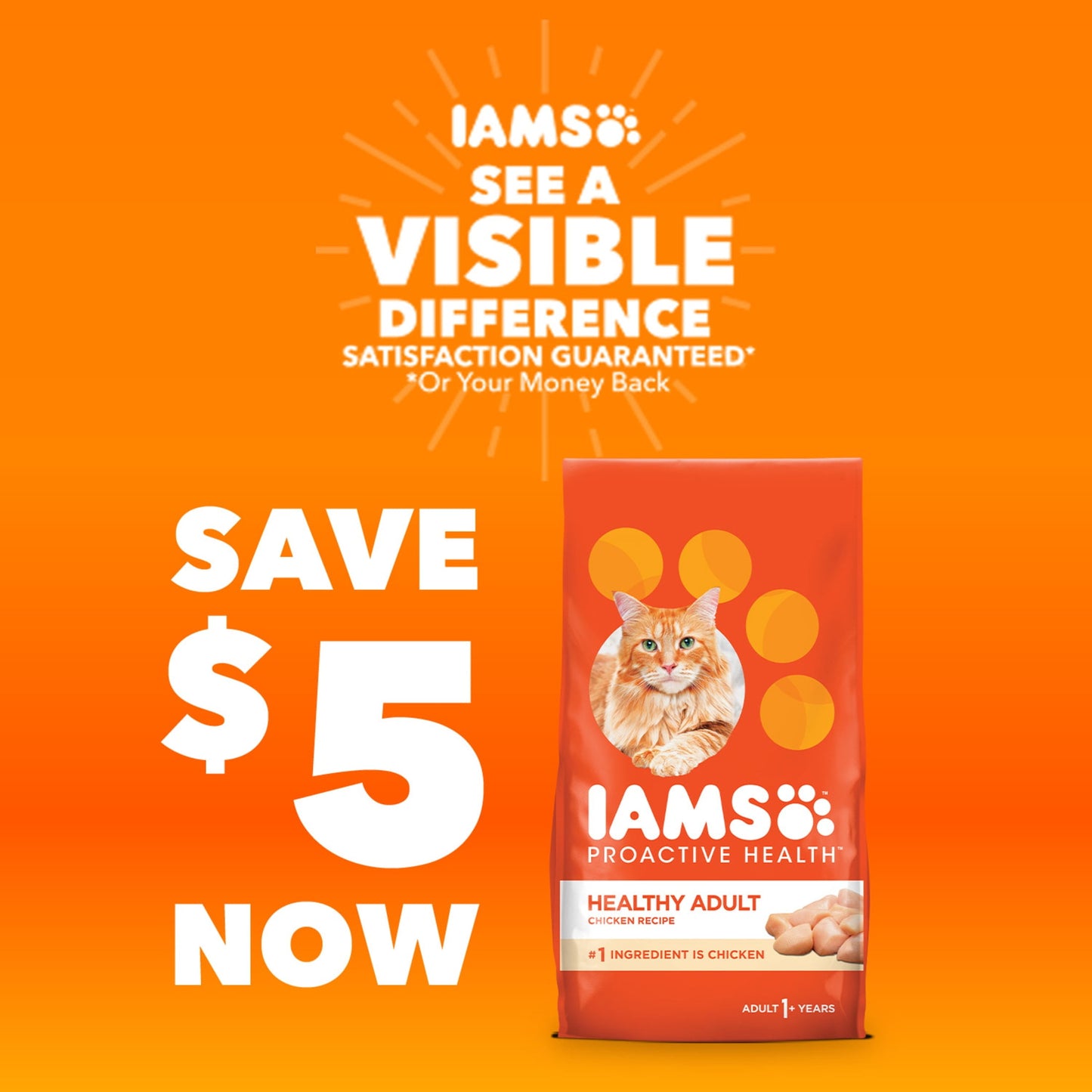 Iams Proactive Health Salmon Flavor Dry Cat Food For Adult Cats, 7 Lb Bag