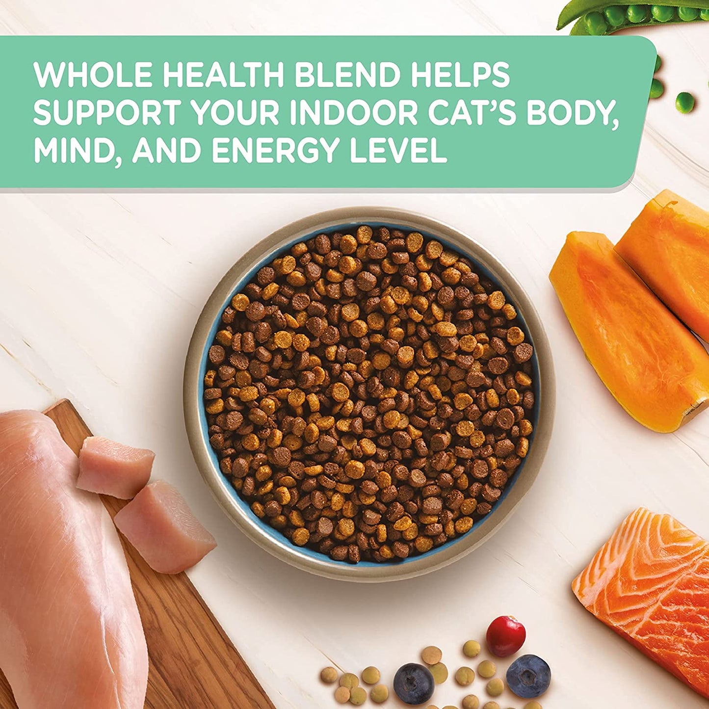 Rachael Ray Nutrish 6 lb Chicken With Lentils and Salmon Recipe Indoor Complete Natural Premium Dry Cat Food