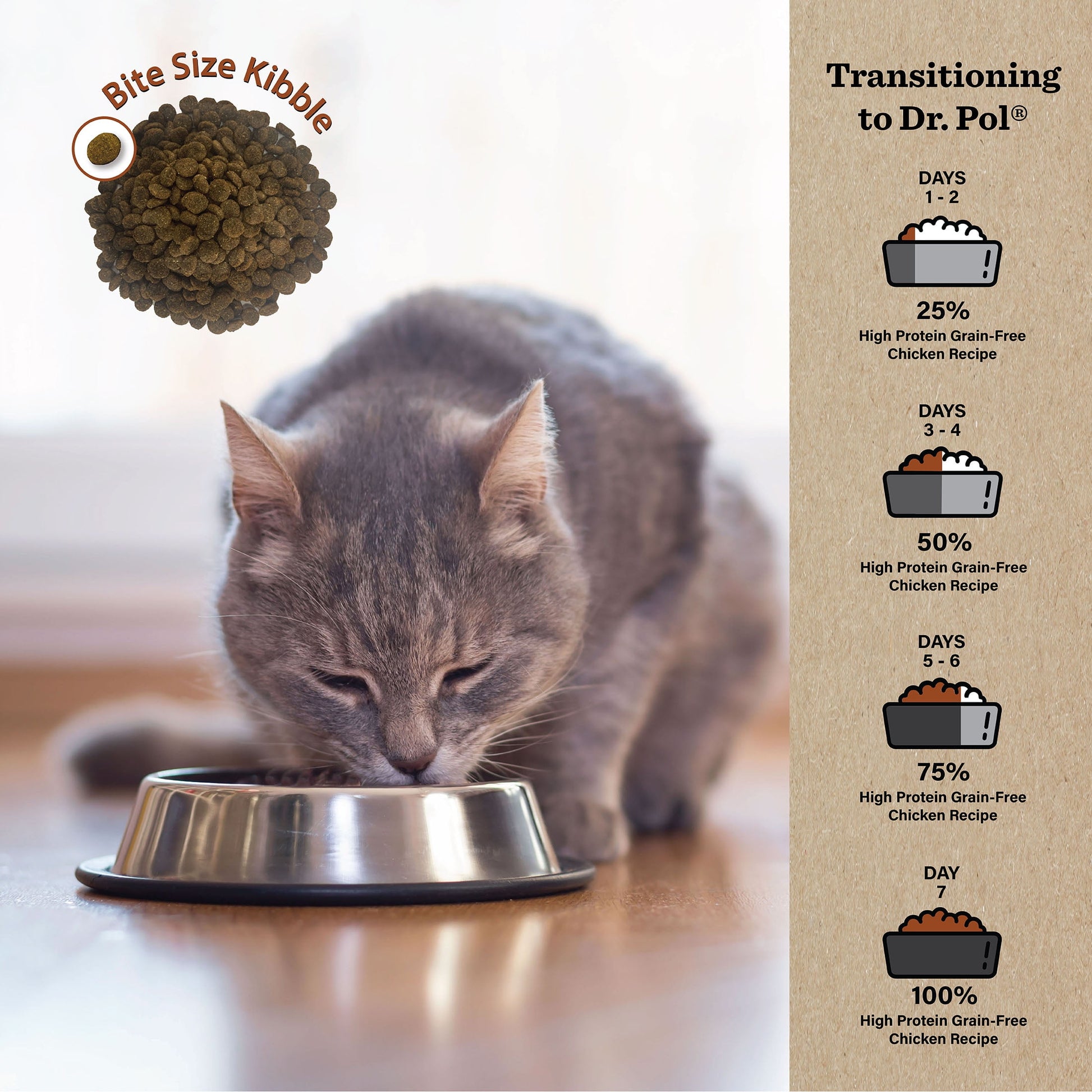 Dr. Pol High Protein Limited Ingredient Chicken Recipe Dry Cat Food for All Breeds, Ages and Sizes of Cats and Growing Kittens, 8 lb. Bag