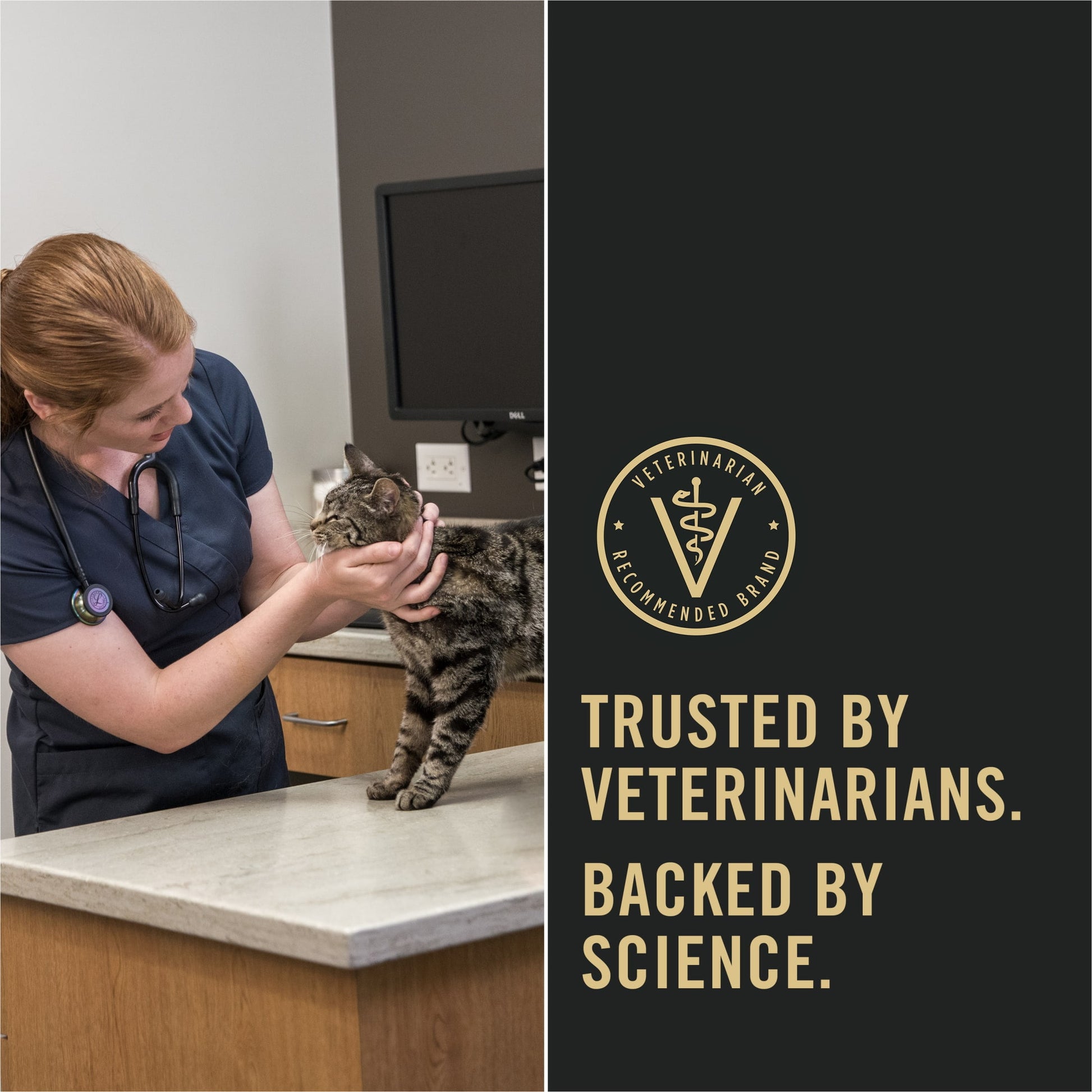 Purina Pro Plan Hairball, IndoorDry Cat Food, Salmon & Rice, 3.5 lb Bag