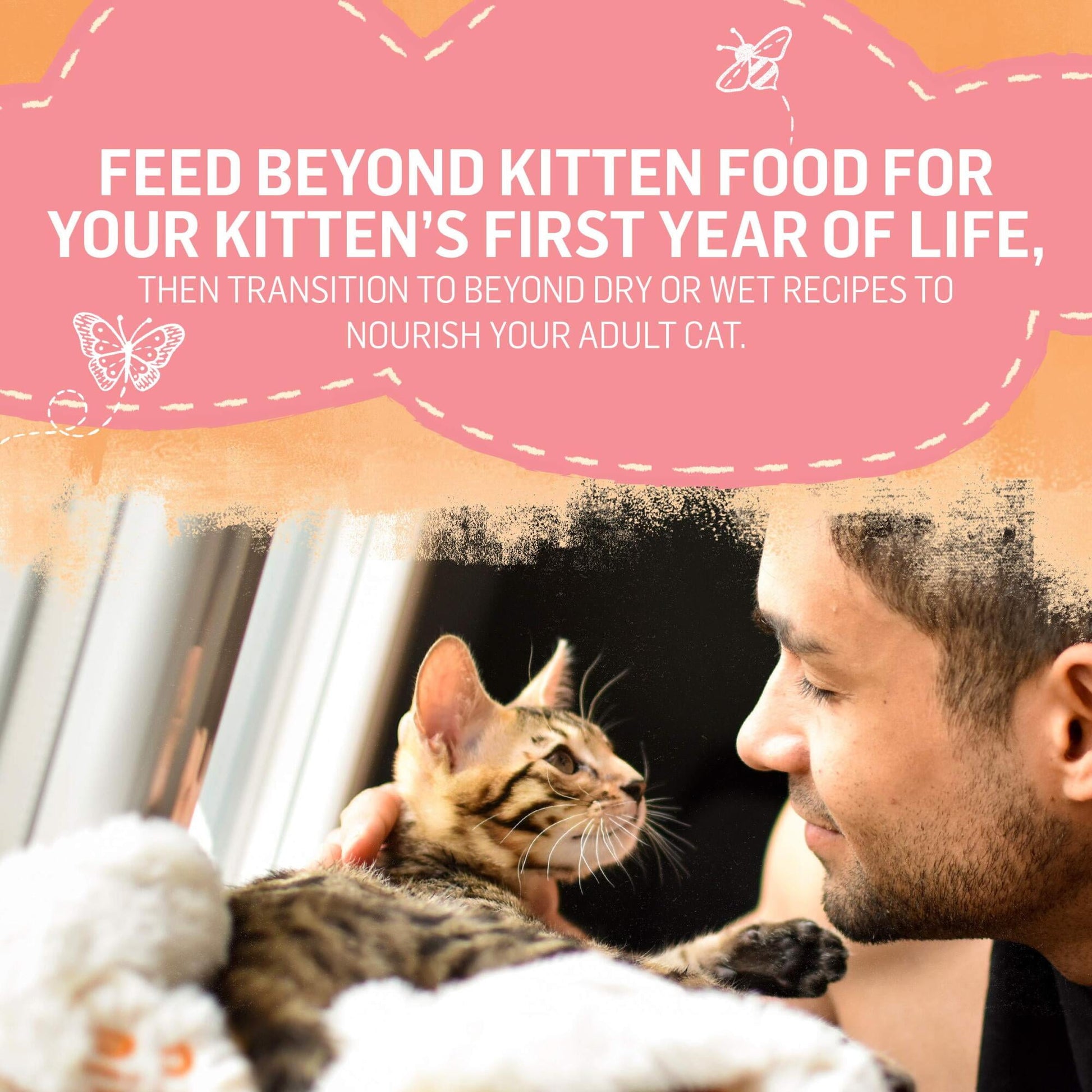 Purina Beyond Chicken & Oatmeal Recipe Dry Kitten Food, 3-lb Bag (Pack of 24)