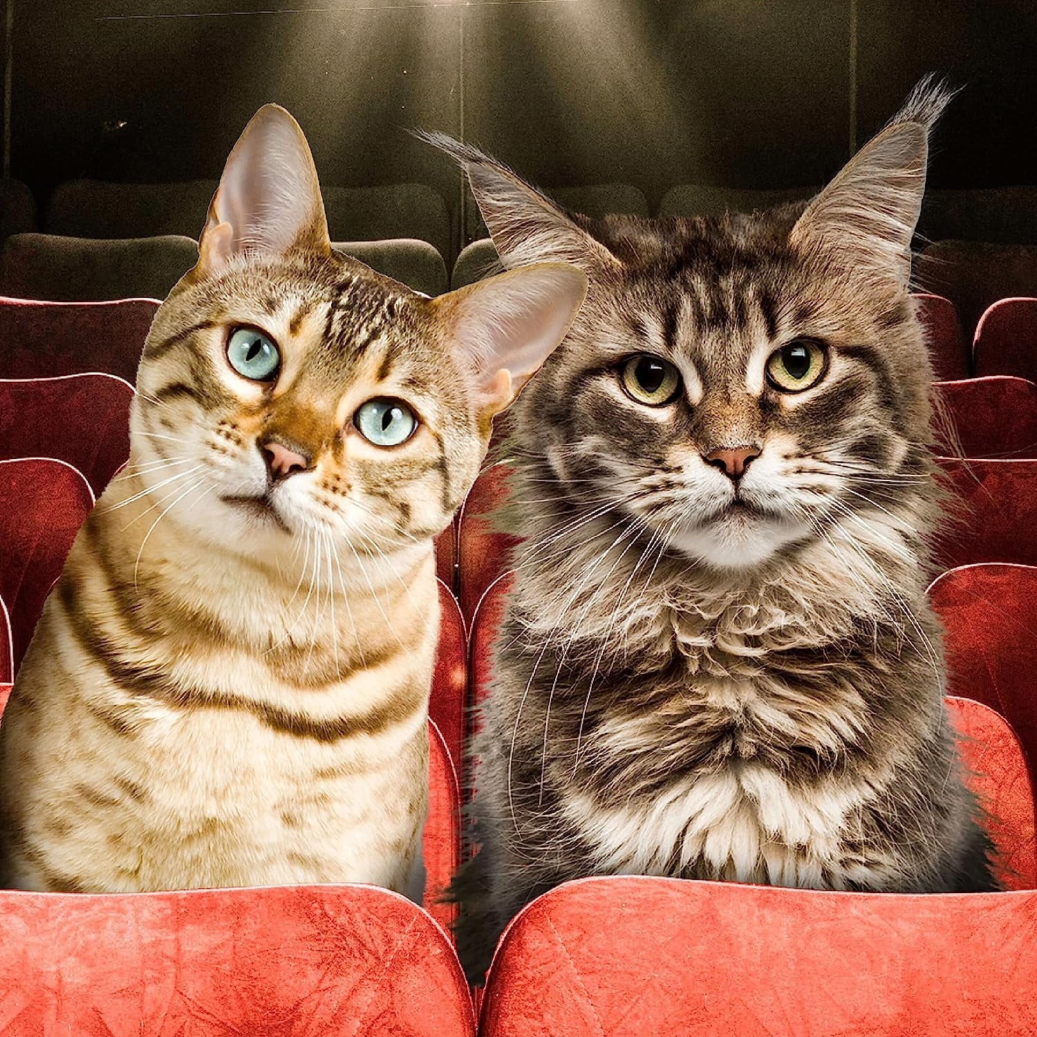 Fromm Gold Adult Cat 4 Lb