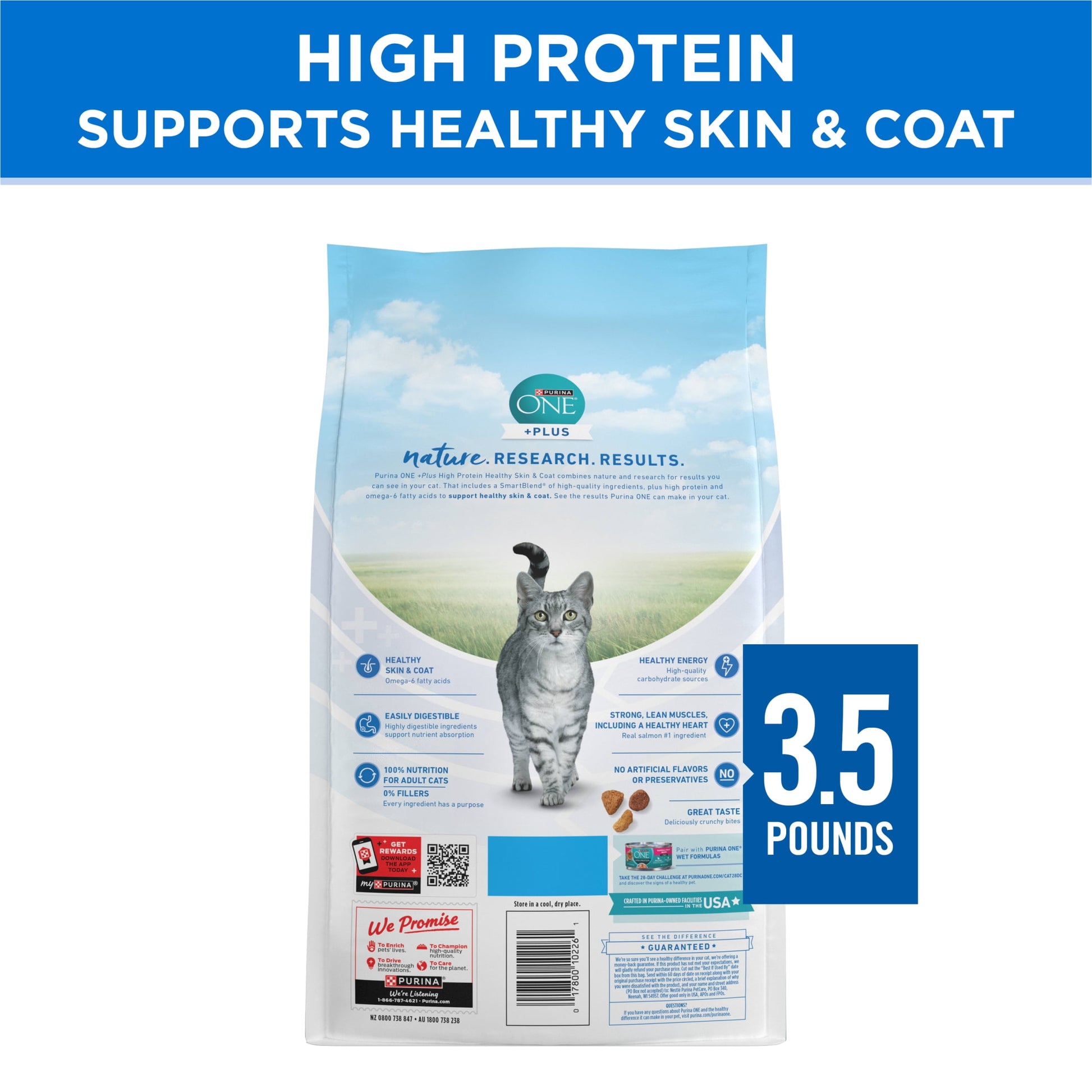 (2 pack) Purina ONE Plus Natural High Protein Dry Cat Food Salmon and Ocean Whitefish Skin and Coat Health Formula, 3.5 lb Bag