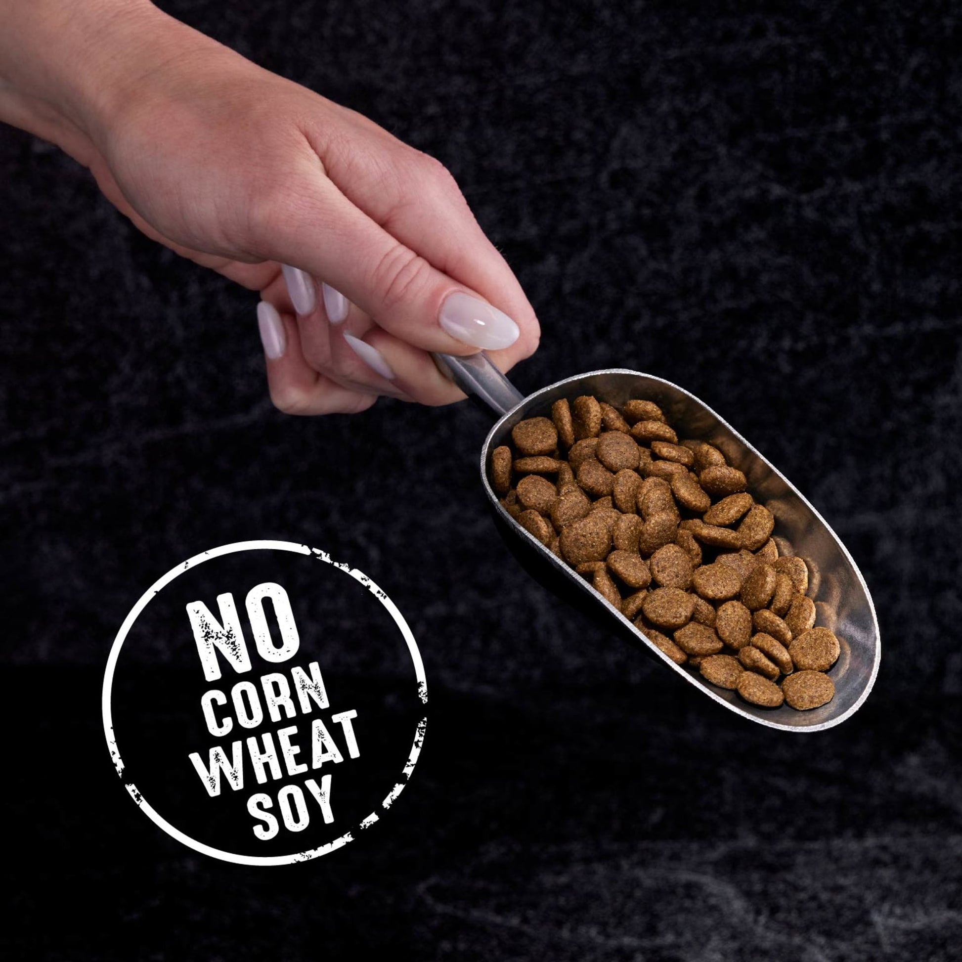 Crave Grain Free Adult High Protein Natural Dry Cat Food With Protein From Chicken, 2 Lb. Bag