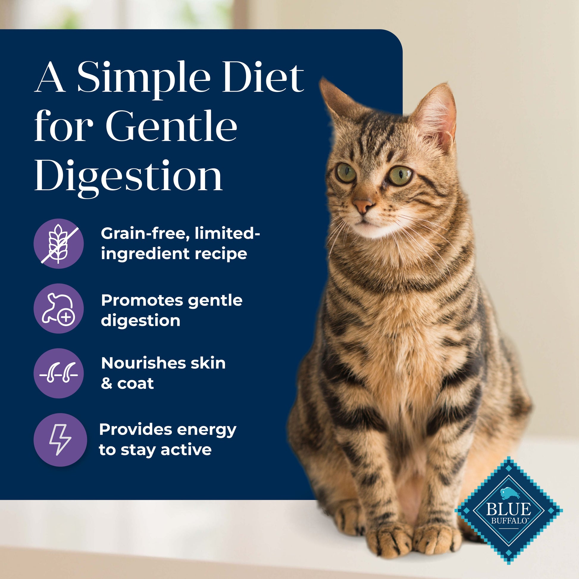 Blue Buffalo Basics Mature Cat Skin & Stomach Care Dry Cat Food, Turkey & Potato, 5 lbs.