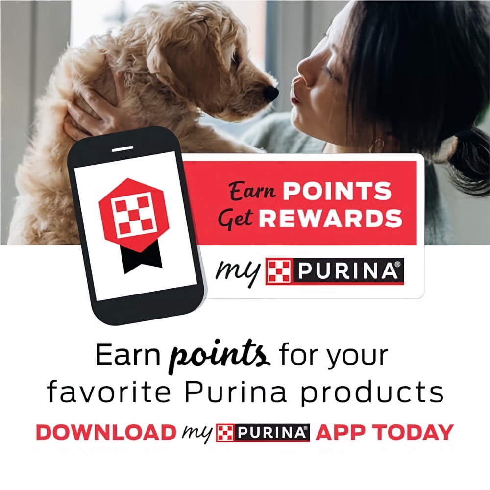 Purina Beyond Simply White Meat Chicken and Whole Oat Meal (Pack of 12)