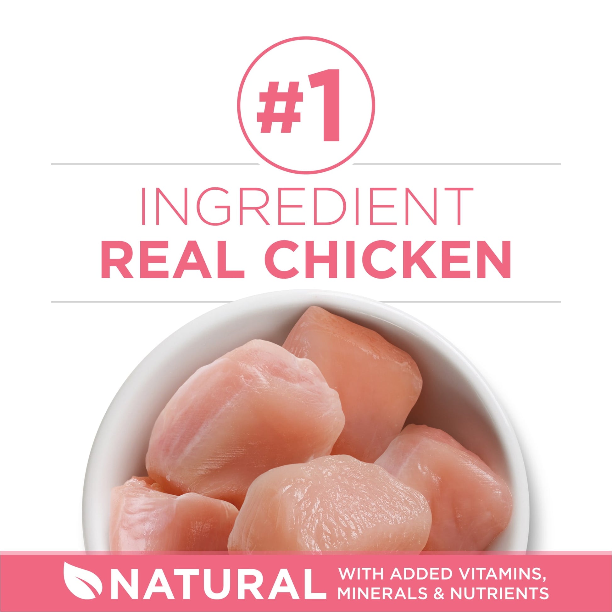 Purina ONE Plus, Healthy Kitten Formula, Dry Kitten Food, Chicken, 3.5 lb Bag