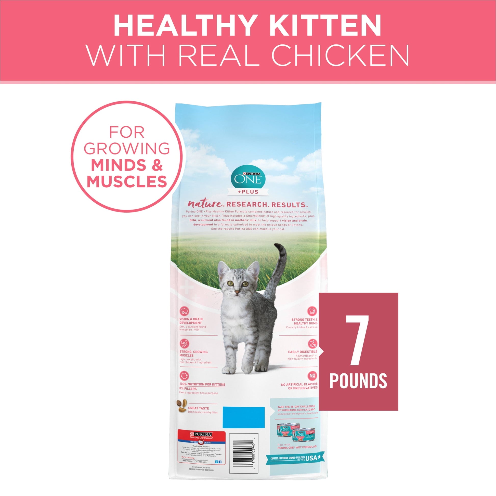 Purina ONE Plus, Healthy Kitten Formula, Dry Kitten Food, Chicken, 7 lb Bag
