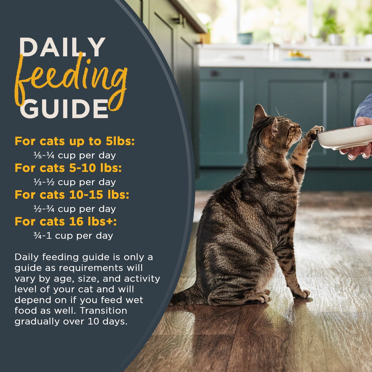 Reveal Pet Food, Natural Dry Cat Food, Chicken Recipe, 3lb Bag