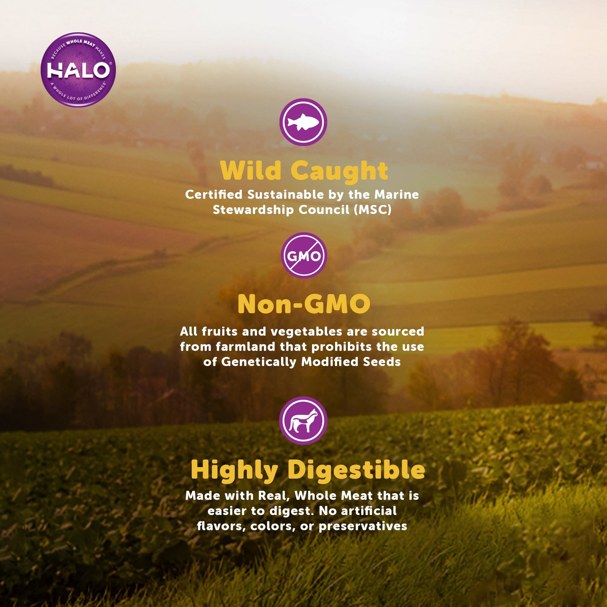 Halo Natural Dry Cat Food, Sensitive Stomach Seafood Medley, 3-Pound Bag