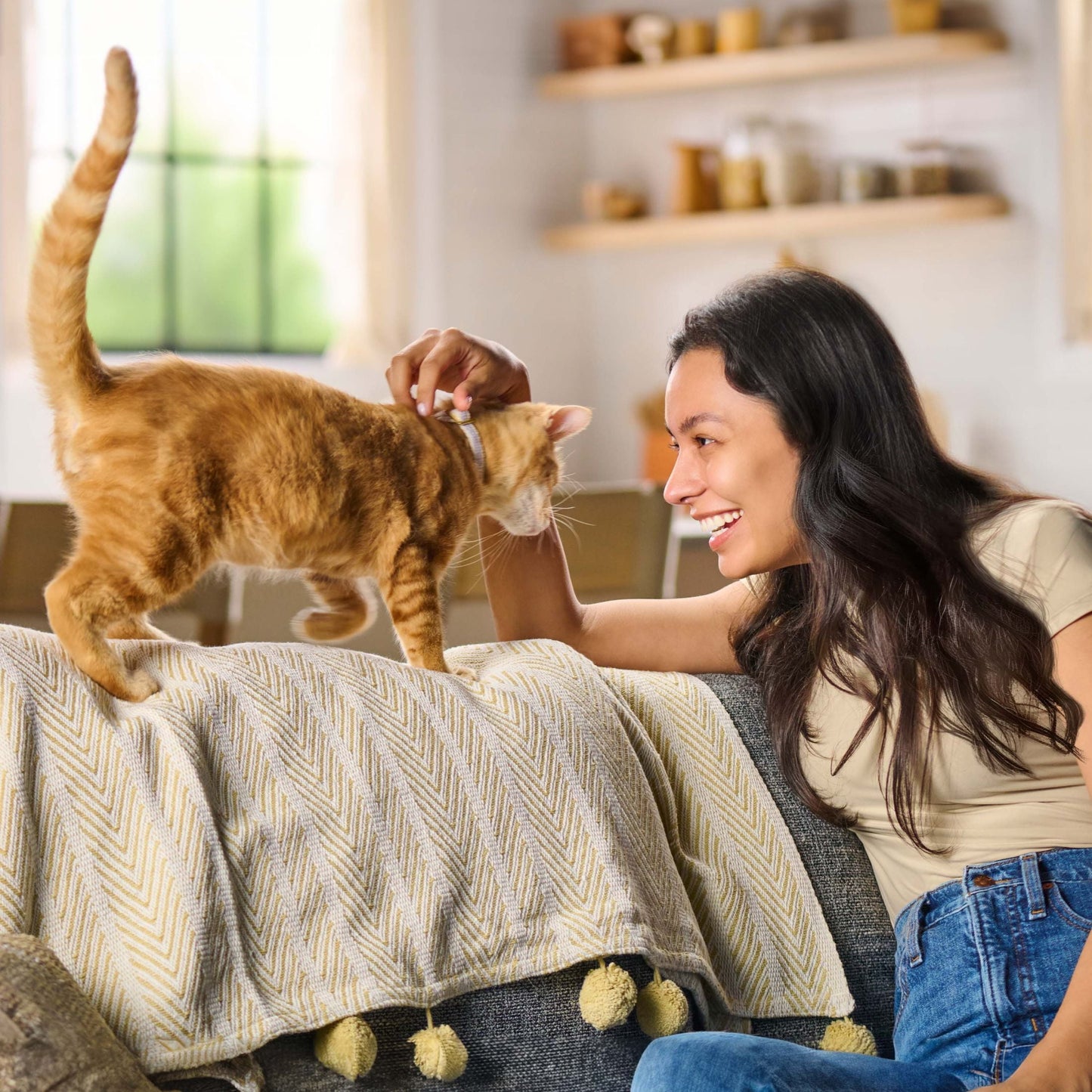 (4 pack) Meow Mix Original Choice Dry Cat Food, 16 lb. Bag