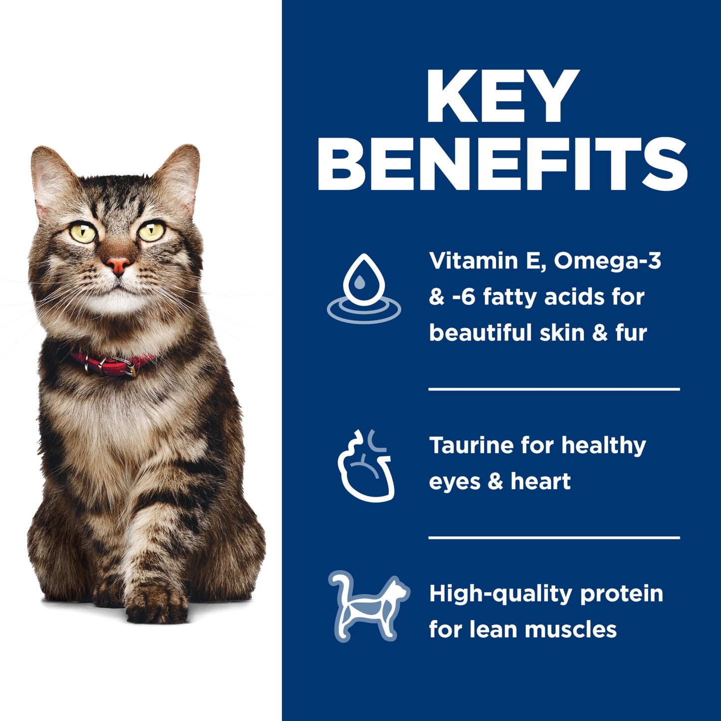 Hill's Science Diet Hairball Control Chicken Dry Cat Food for 7+ Senior Cats, 3.5lb Bag