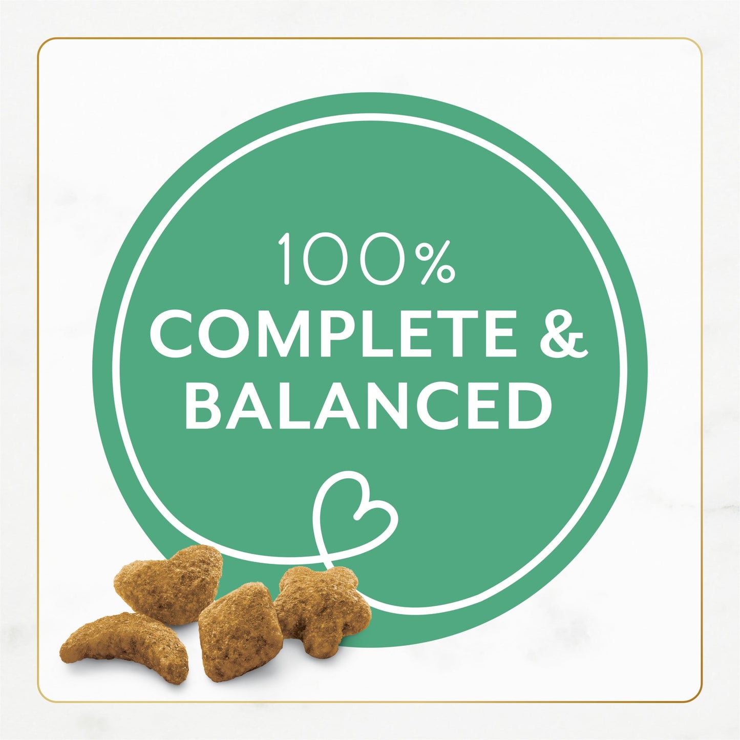 Purina Fancy Feast Dry Cat Food With Ocean Fish and Salmon