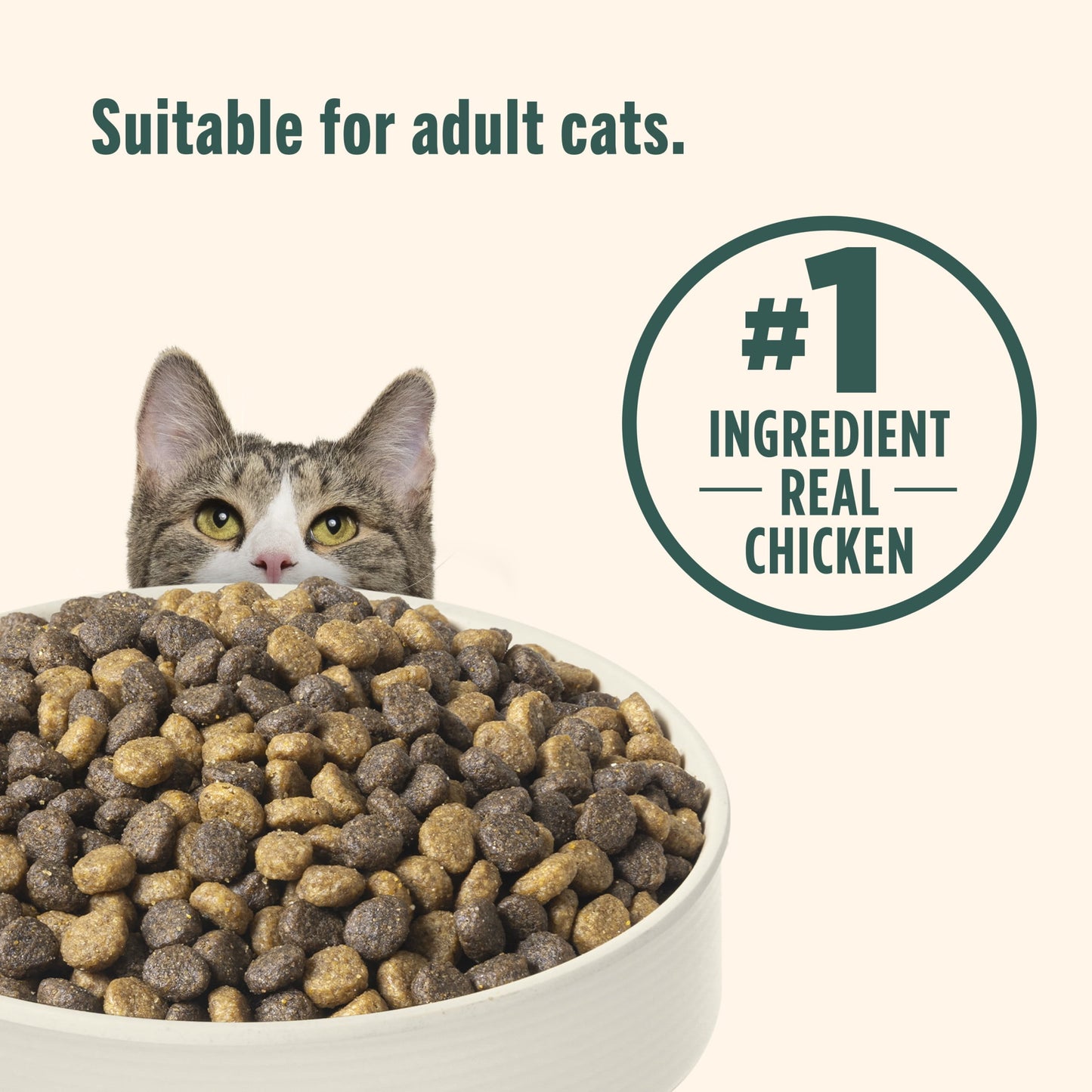 Nutrish Indoor Complete Chicken, Lentils & Salmon Recipe Dry Cat Food 14 lb. Bag (Rachael Ray)