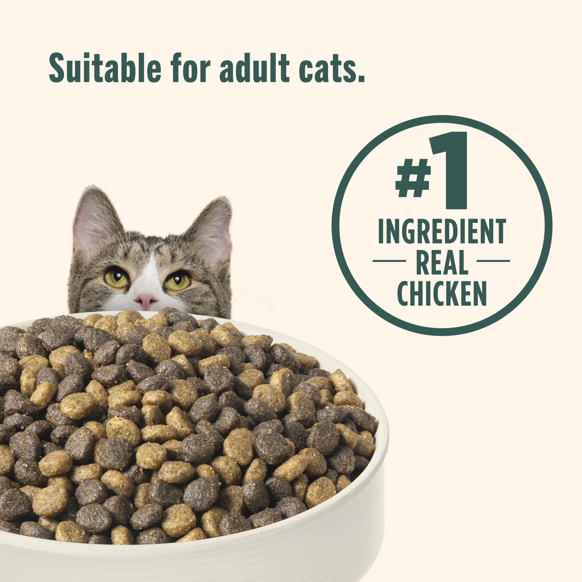 Nutrish Indoor Complete Chicken, Lentils & Salmon Recipe Dry Cat Food 14 lb. Bag (Rachael Ray)