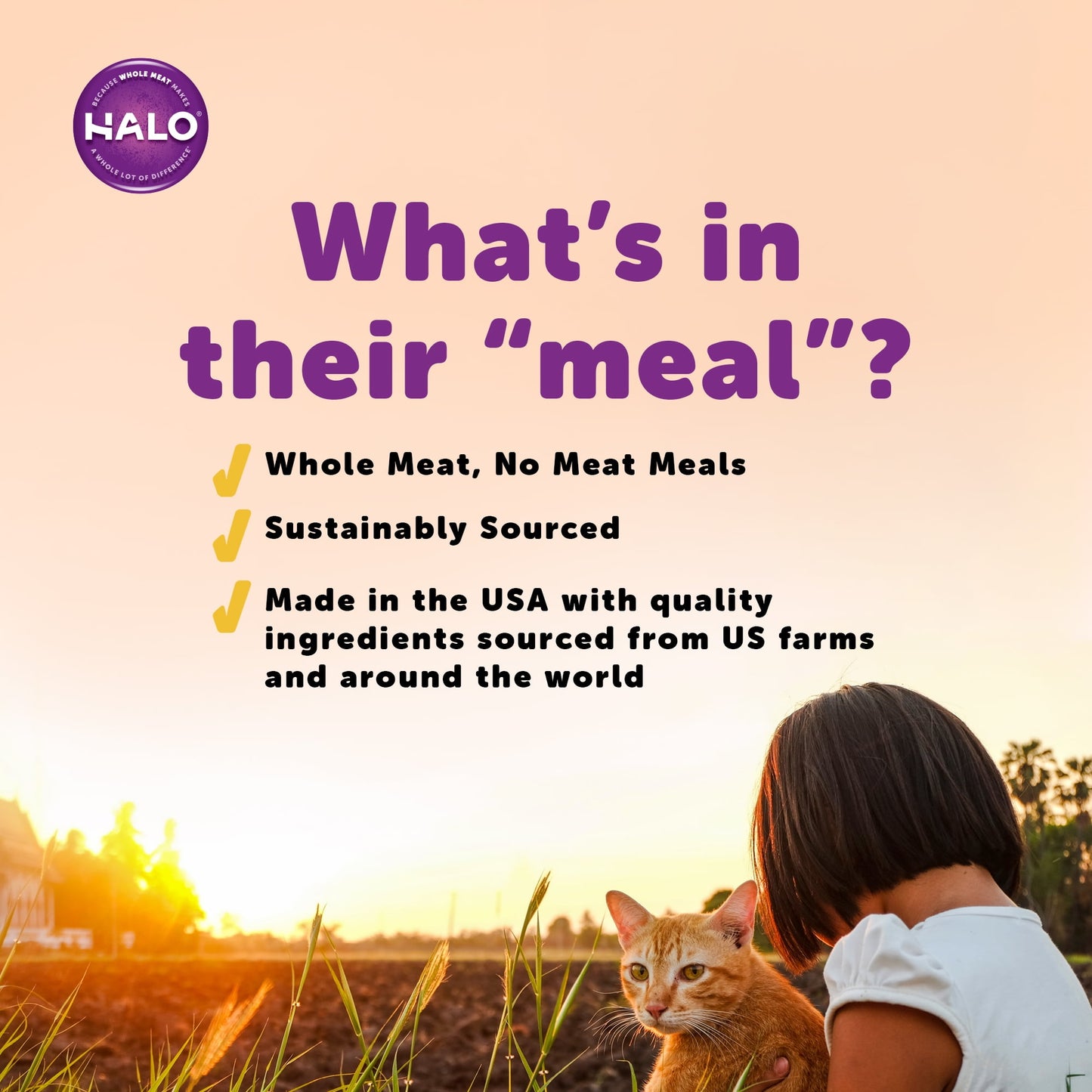 Halo Natural Dry Cat Food, Sensitive Stomach Seafood Medley, 3-Pound Bag