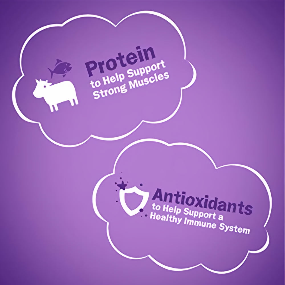 Friskie16LB Dry CatFood (Pack of 2)