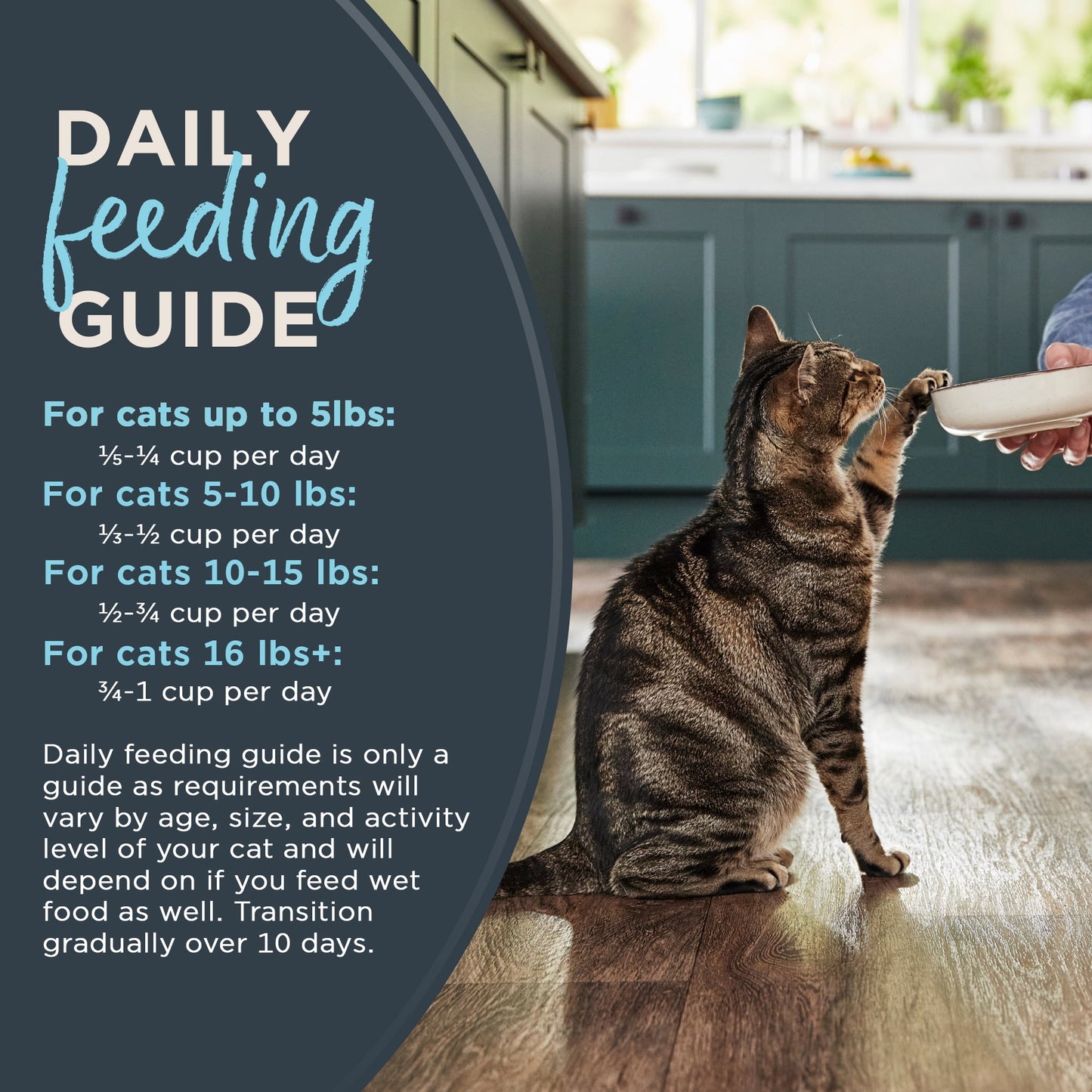 Reveal Pet Food Natural Dry Cat Food, Complete & Balanced Grain Free, Whitefish Flavor, 3lb Bag