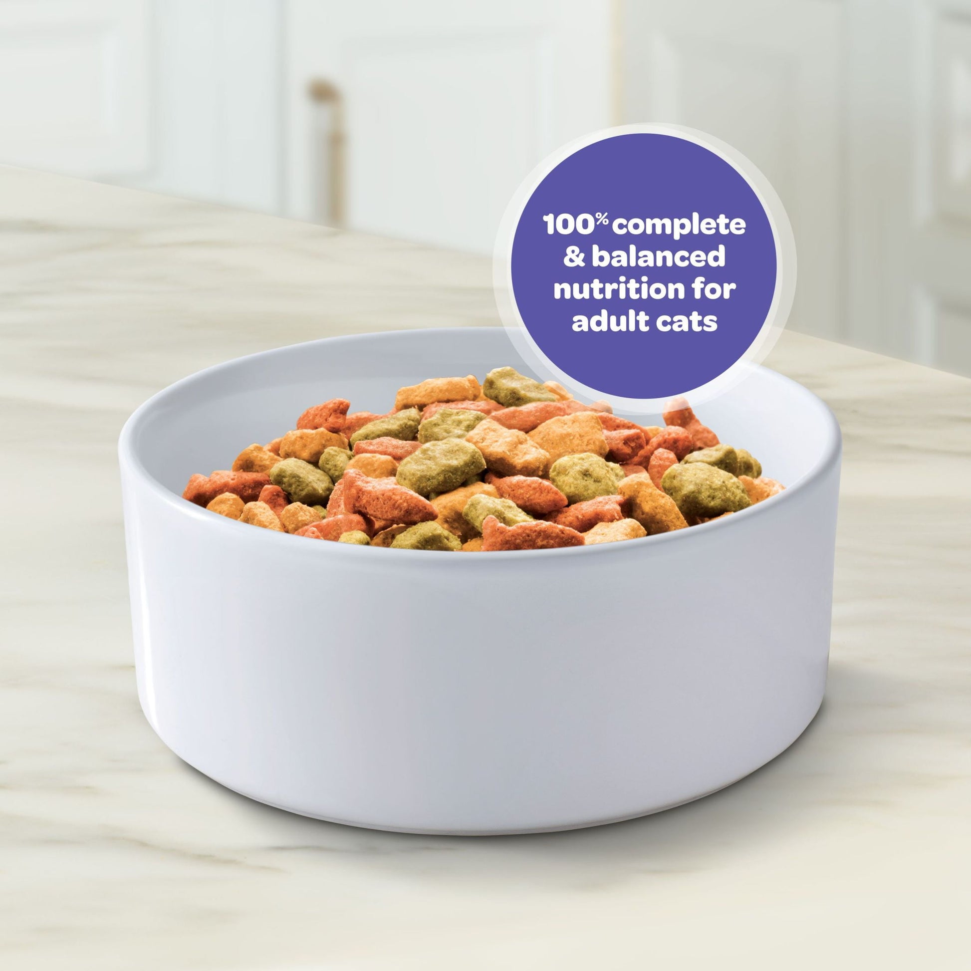 9Lives Indoor Complete Chicken & Salmon Flavor Dry Cat Food, 20 lb. Bag