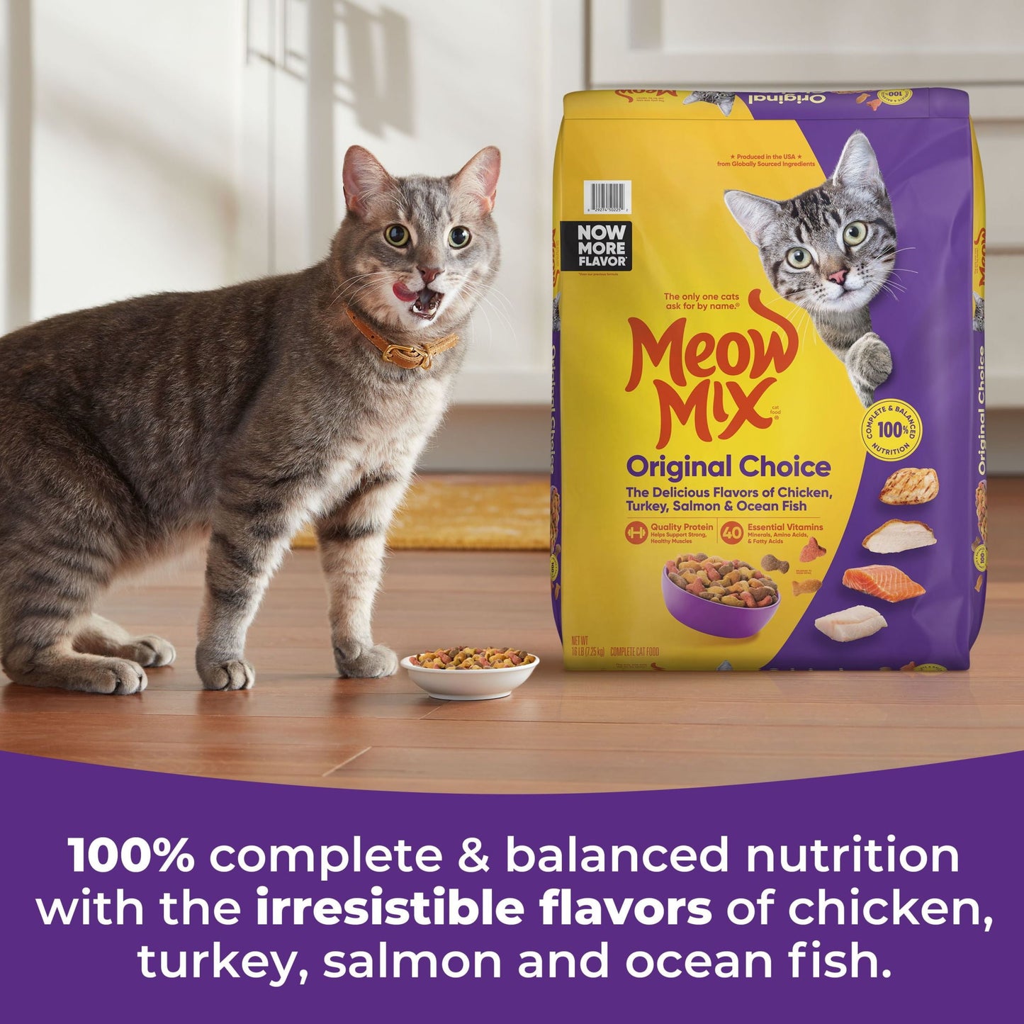 (4 pack) Meow Mix Original Choice Dry Cat Food, 16 lb. Bag