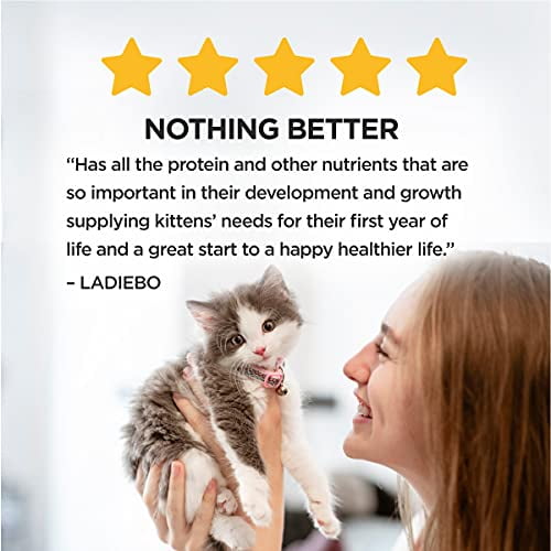 Purina Kitten Chow Cat Food