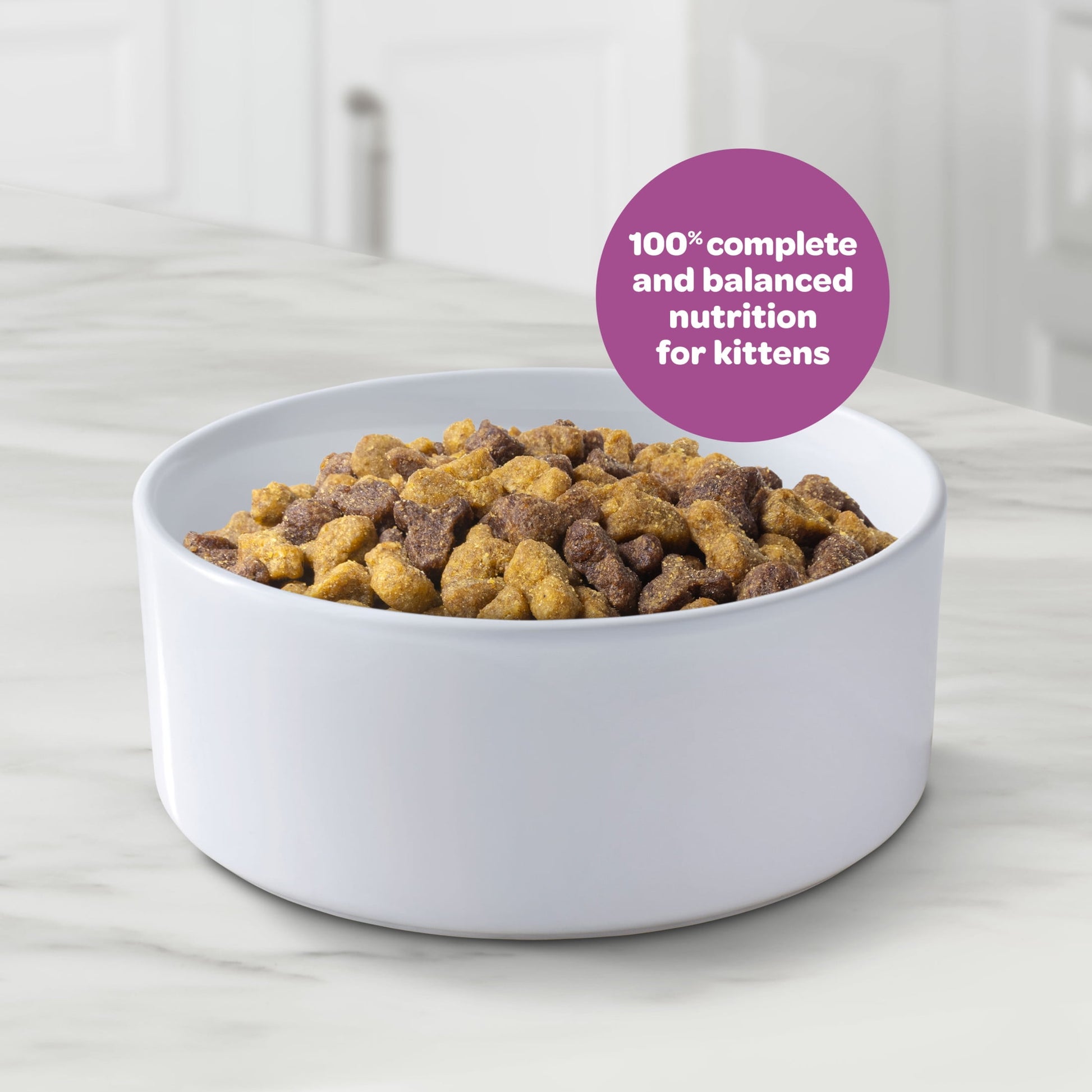 9Lives Kitten Essentials Chicken & Ocean Fish Dry Cat Food, 2.5lb Bag