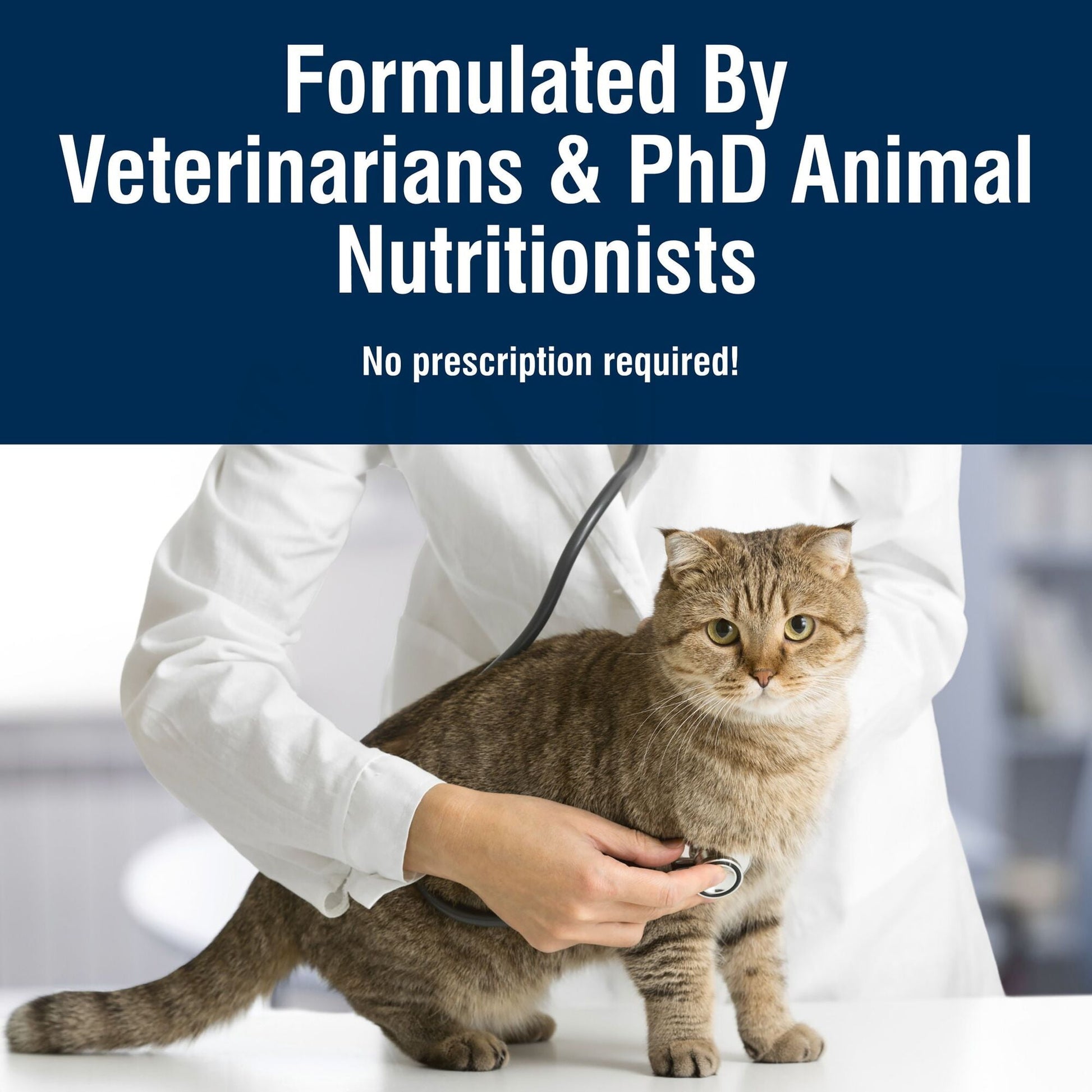 Blue Buffalo True Solutions Digestive Care Natural Dry Cat Food, Chicken, 11-lb. Bag