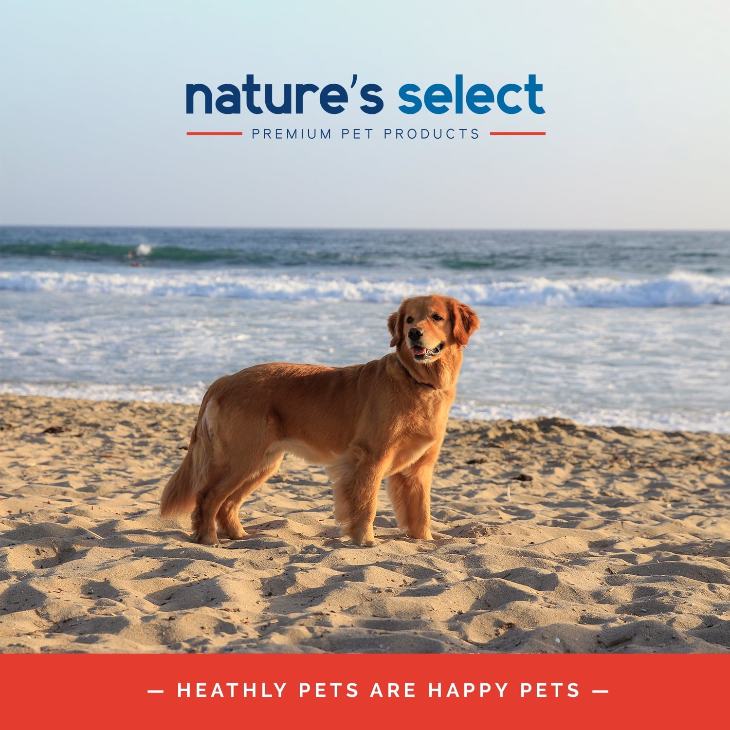 Nature's Select Feline Classic Nutrition Recipe - Dry Cat Food for All Ages