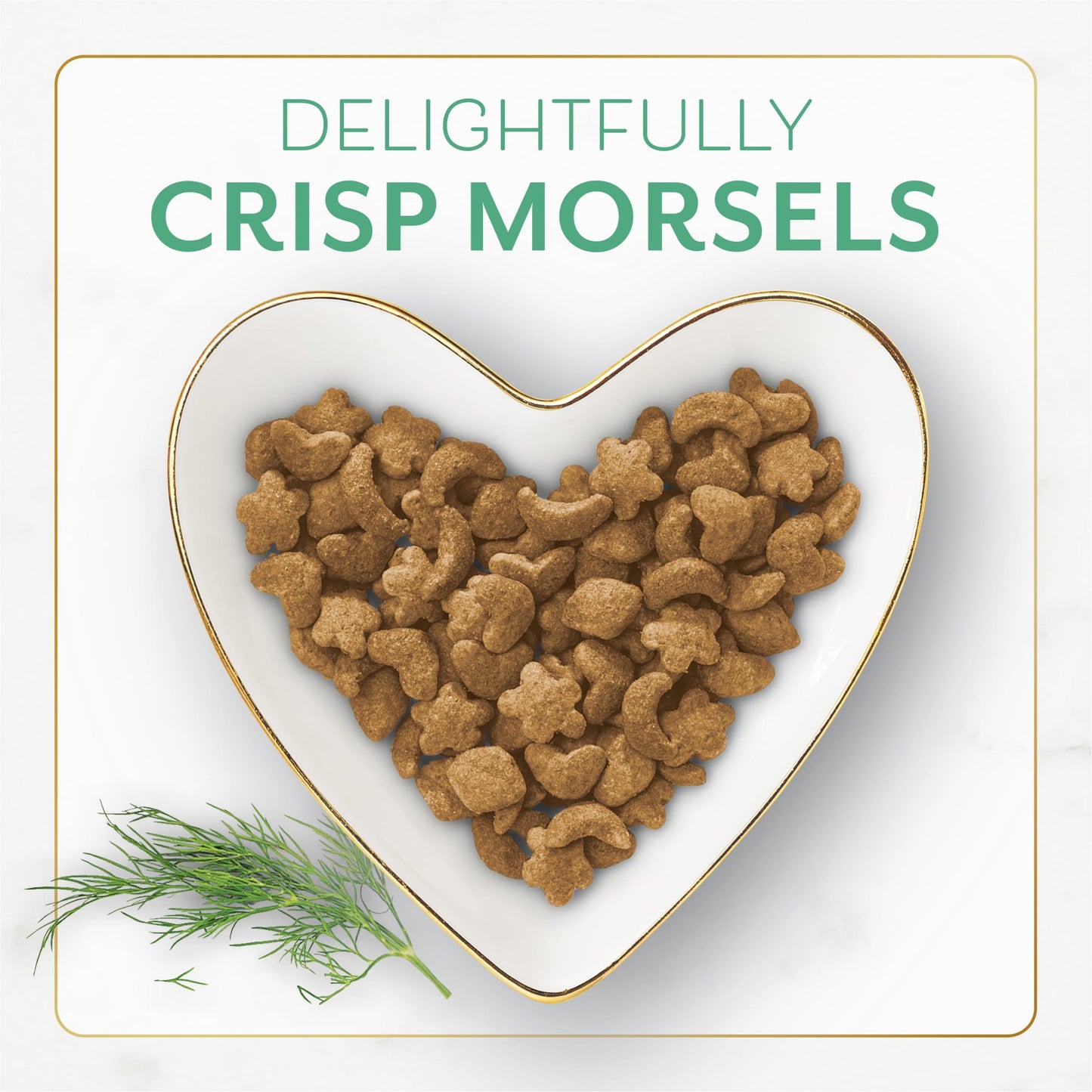 Purina Fancy Feast Dry Cat Food With Ocean Fish and Salmon