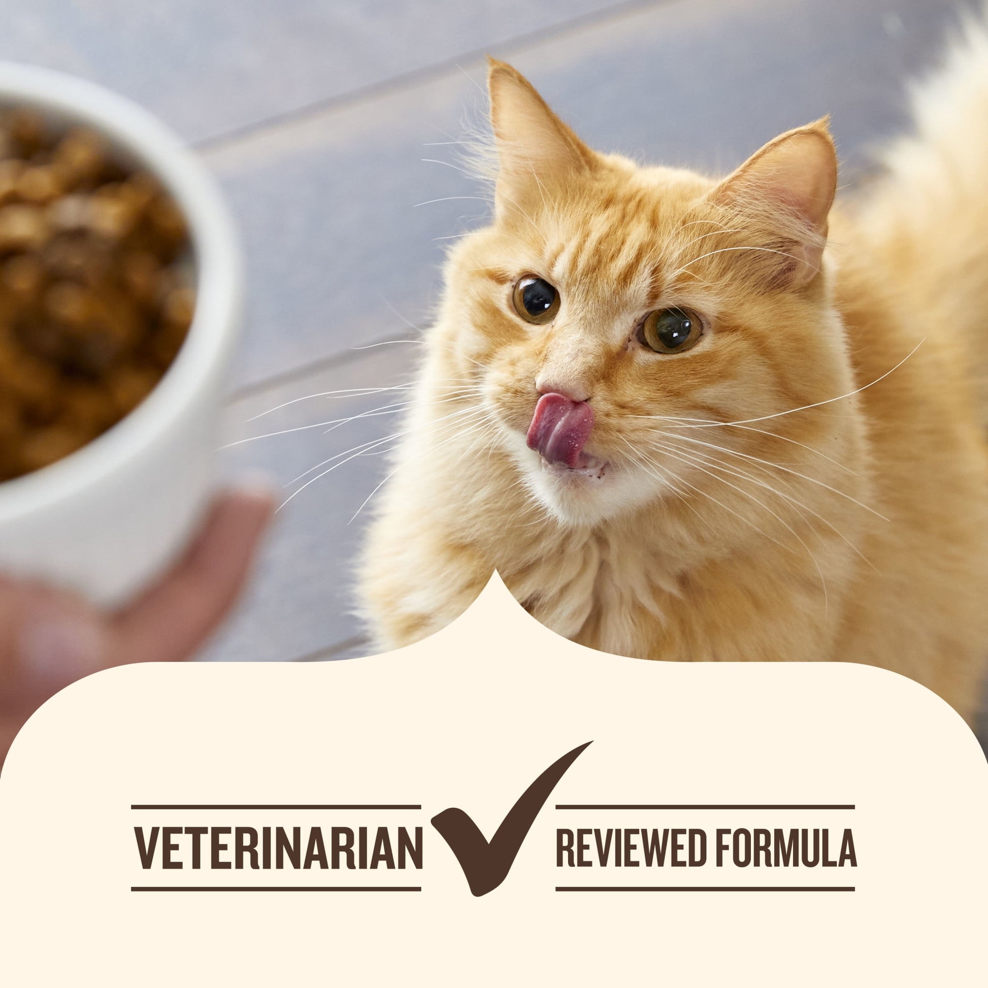 Nutrish Indoor Complete Chicken, Lentils & Salmon Recipe Dry Cat Food 14 lb. Bag (Rachael Ray)