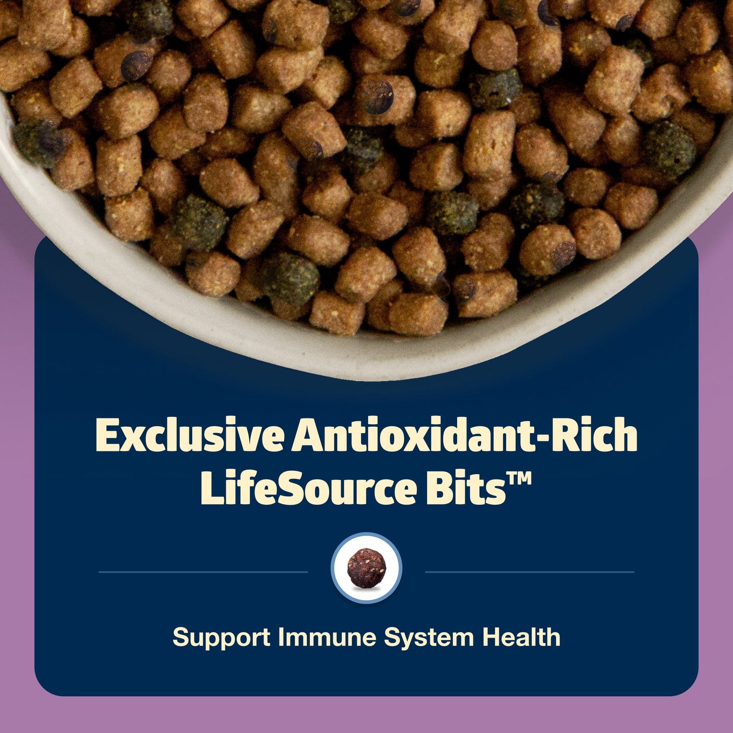 Blue Buffalo Freedom Natural Grain-Free Indoor Adult Dry Cat Food, Chicken Recipe, 11-lb. Bag