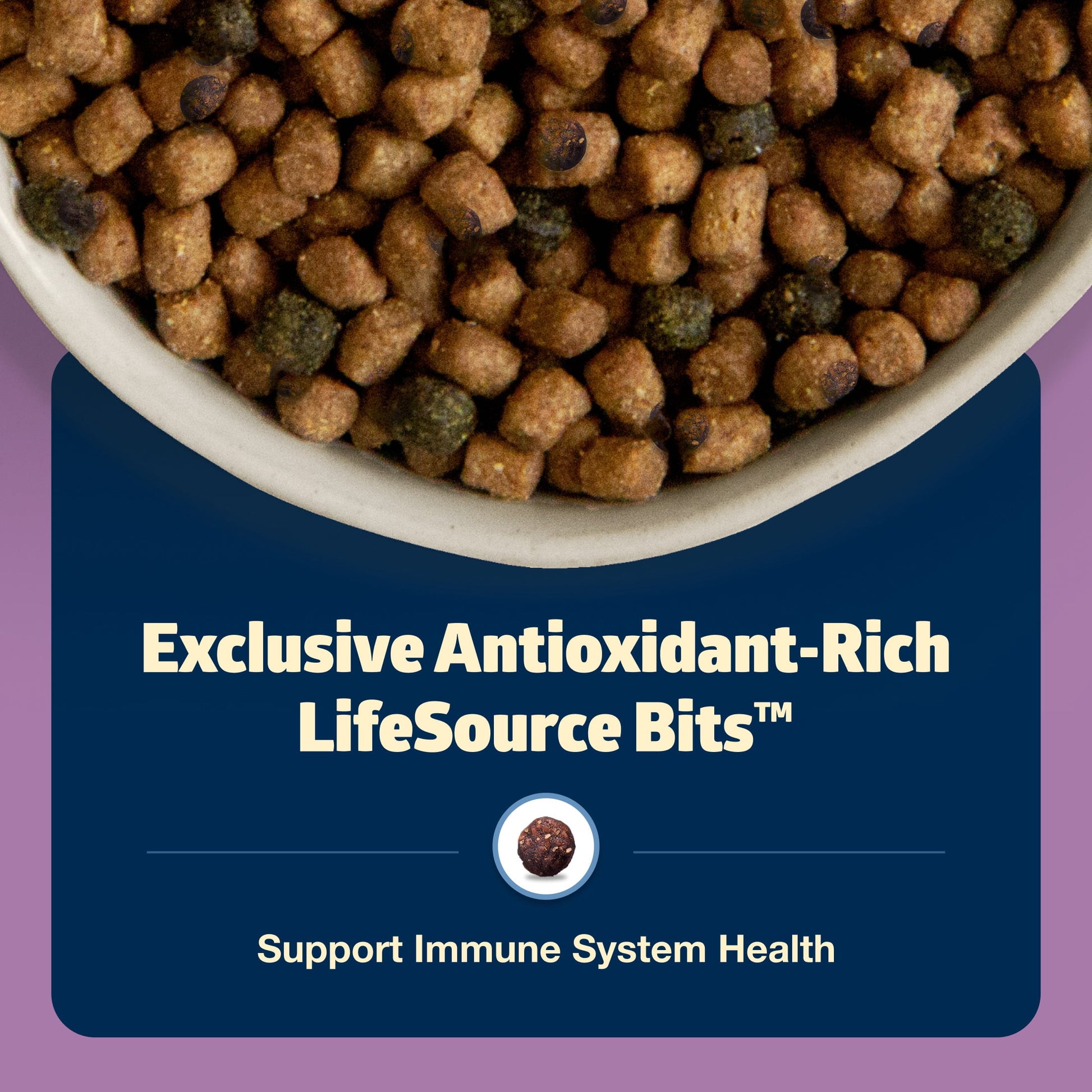 Blue Buffalo Freedom Natural Grain-Free Indoor Adult Dry Cat Food, Chicken Recipe, 11-lb. Bag