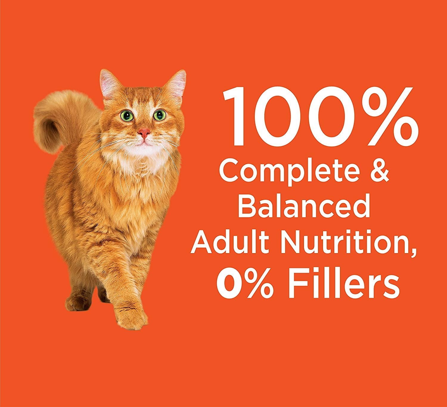 Iams Proactive Health Adult Hairball Care Dry Cat Food With Chicken And Salmon, 7 Lb. Bag