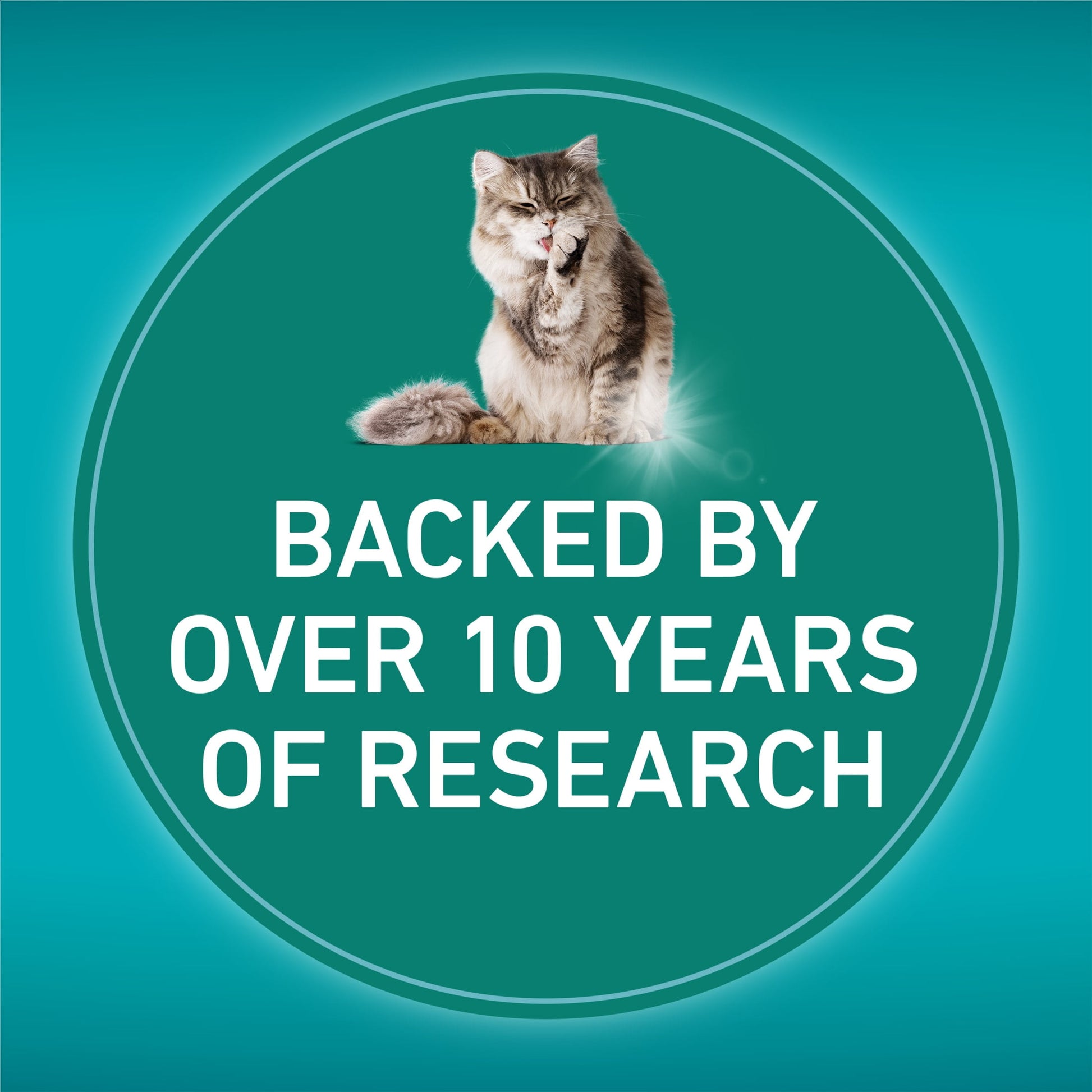 Purina ONE LiveClear Allergen-Reducing Dry Cat Food Formula with Real Chicken as the Number One Ingredient, 6.3 lb. Bag