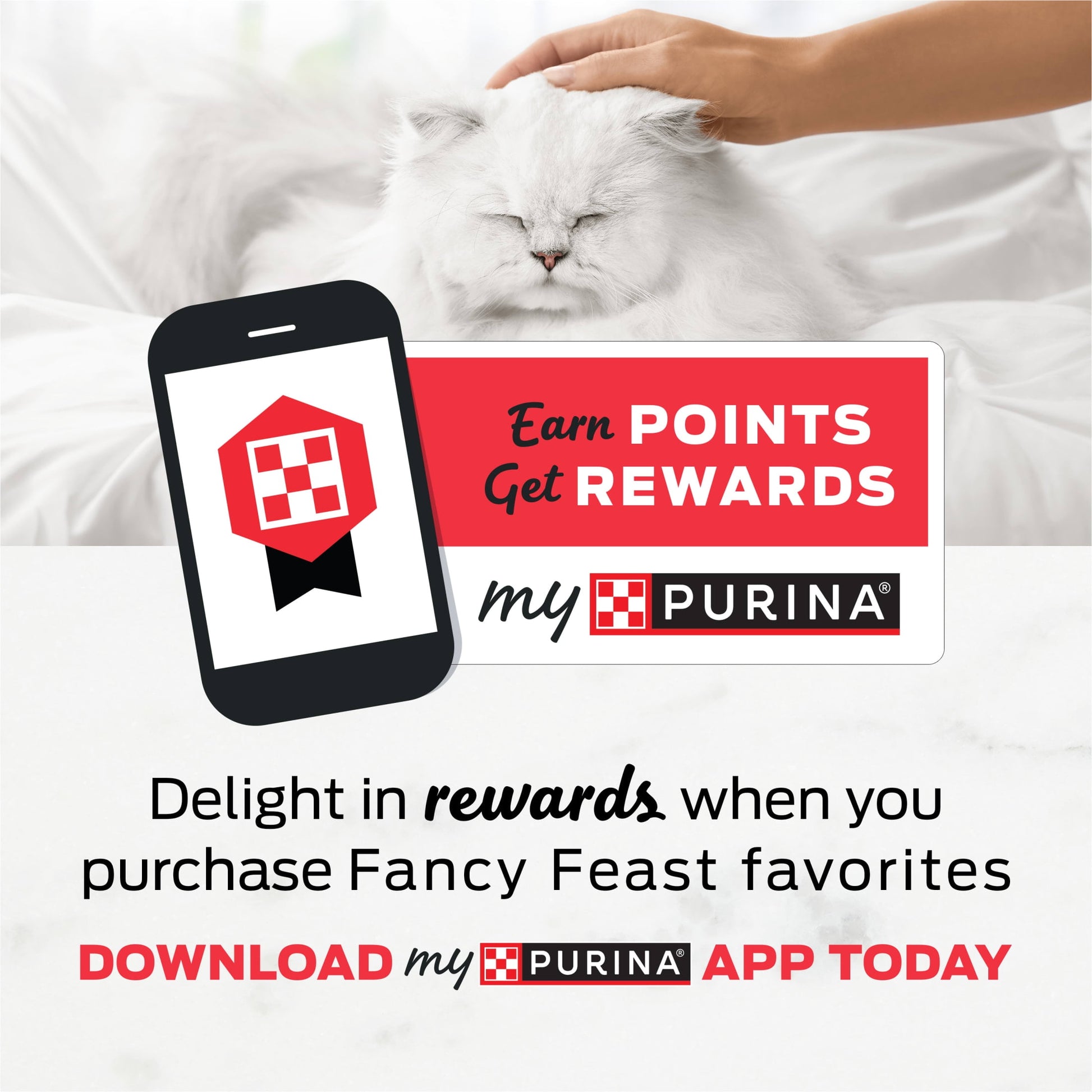 Purina Fancy Feast Dry Cat Food With Ocean Fish and Salmon