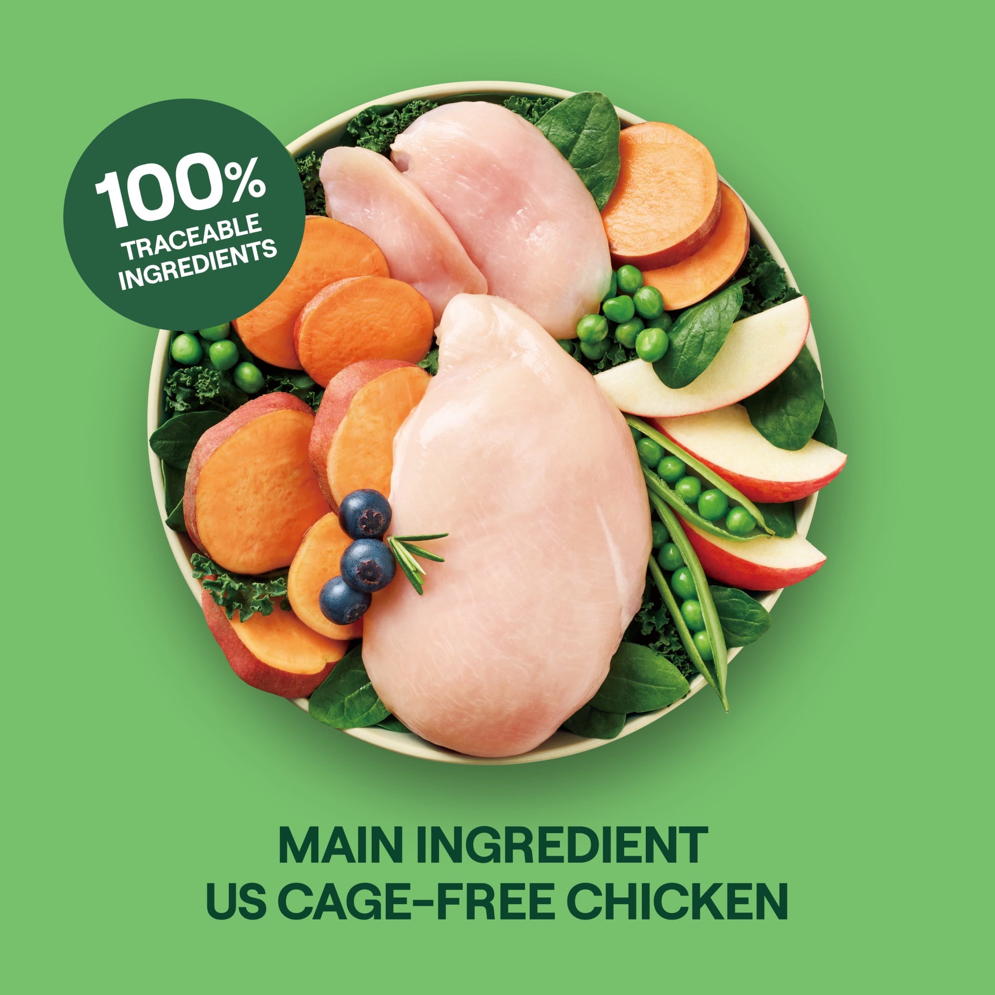 Goodlands Cage-Free Chicken Flavor, Dry Kitten Cat Food with Probiotics, 3.15 lb Bag