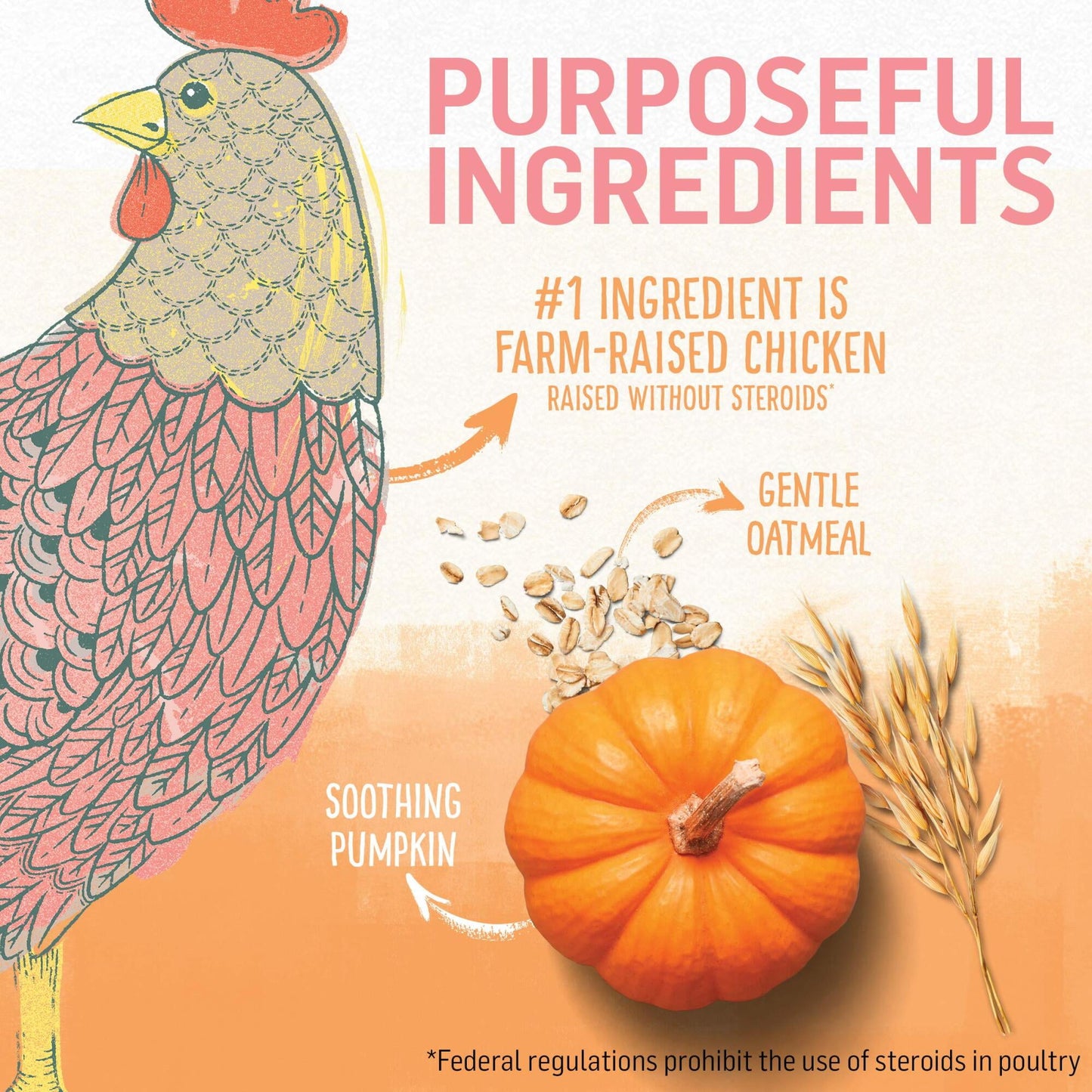 Purina Beyond Chicken & Oatmeal Recipe Dry Kitten Food, 3-lb Bag (Pack of 24)