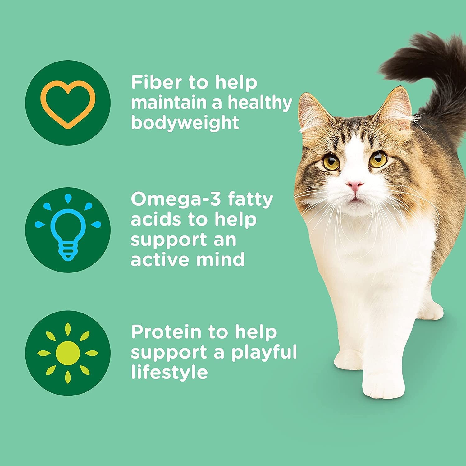 Rachael Ray Nutrish 6 lb Chicken With Lentils and Salmon Recipe Indoor Complete Natural Premium Dry Cat Food