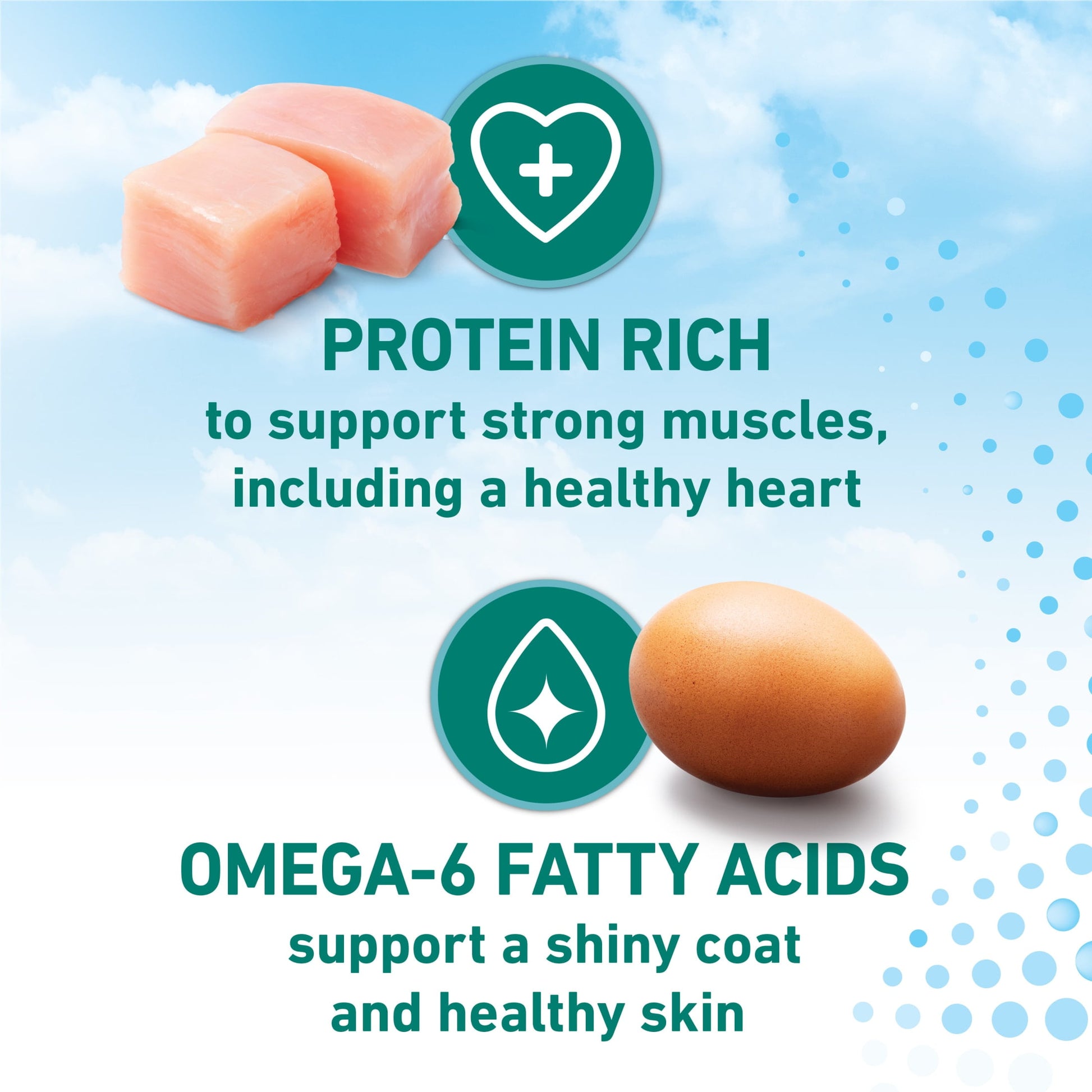 Purina ONE LiveClear Allergen-Reducing Dry Cat Food Formula with Real Chicken as the Number One Ingredient, 3 lb. Bag