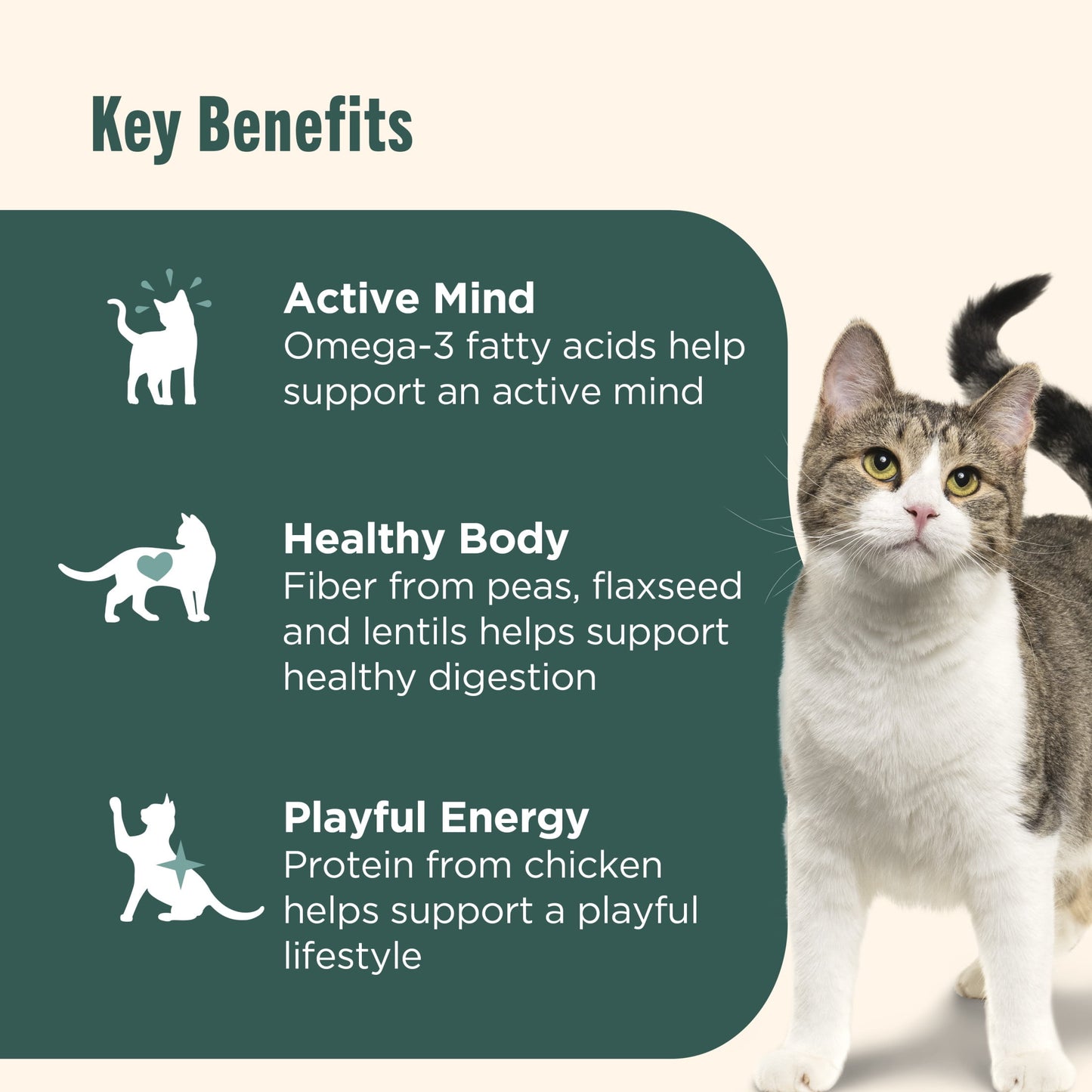 Nutrish Indoor Complete Chicken, Lentils & Salmon Recipe Dry Cat Food 14 lb. Bag (Rachael Ray)