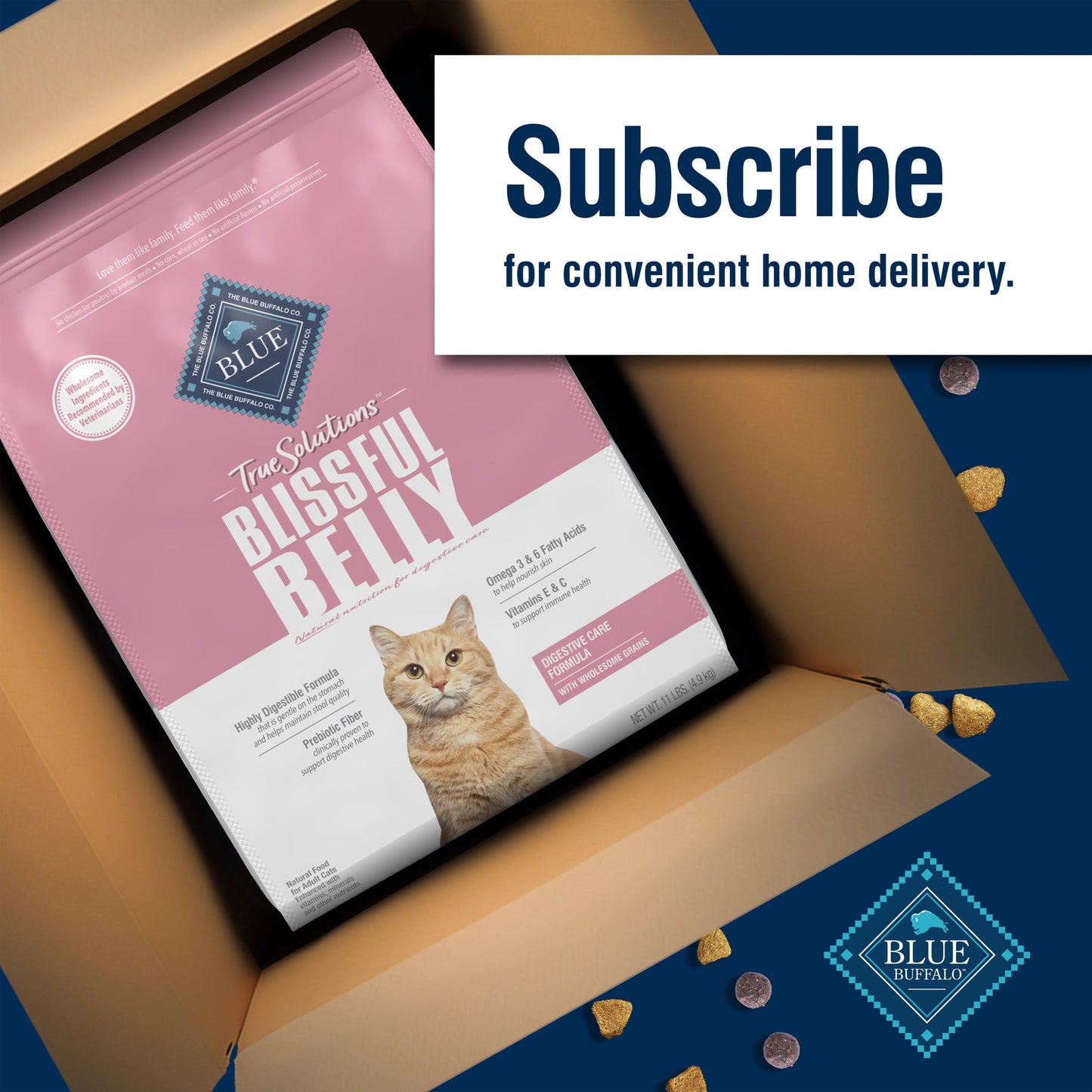 Blue Buffalo True Solutions Digestive Care Natural Dry Cat Food, Chicken, 11-lb. Bag