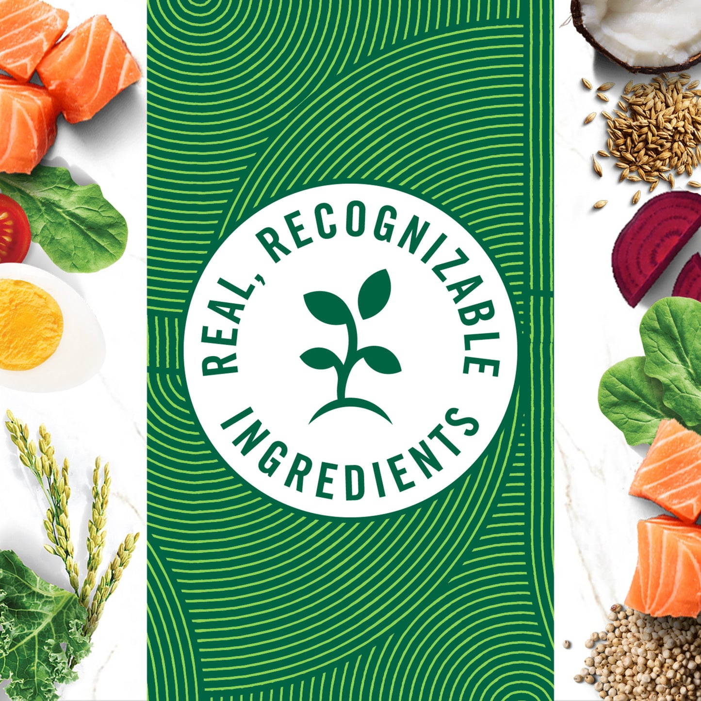 Nutro Wholesome Essentials Adult Dry Cat Food, Salmon & Brown Rice Recipe, 14 Lbs.