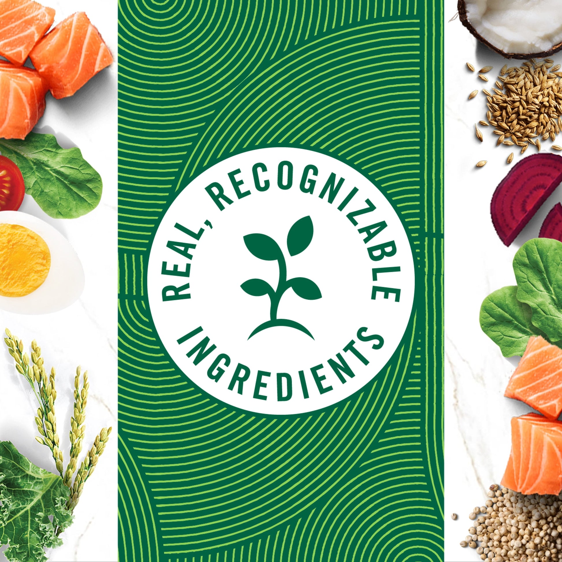 Nutro Wholesome Essentials Adult Dry Cat Food, Salmon & Brown Rice Recipe, 14 Lbs.