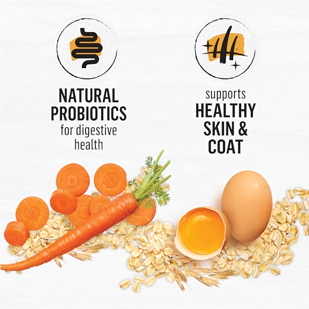 Purina Beyond Simply White Meat Chicken and Whole Oat Meal (Pack of 12)