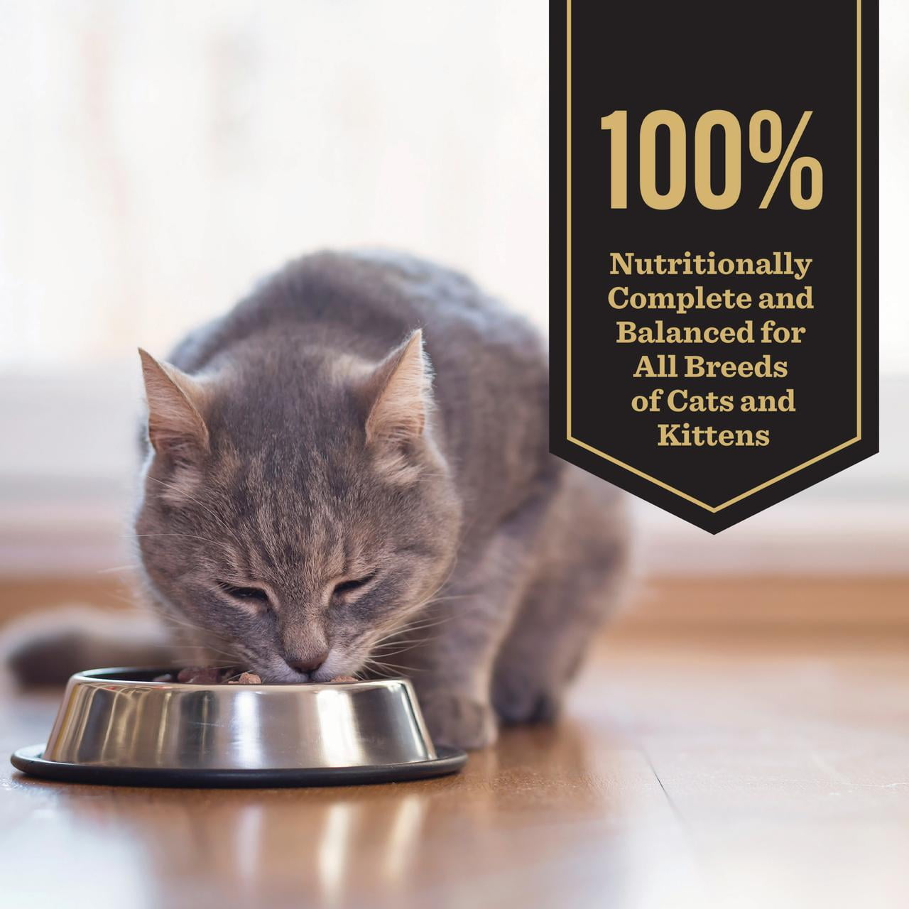 (6 pack) Dr. Pol Incredi-Pol Favorites Chicken Weight and Hairball Support Canned Cat Food, 5.5oz.