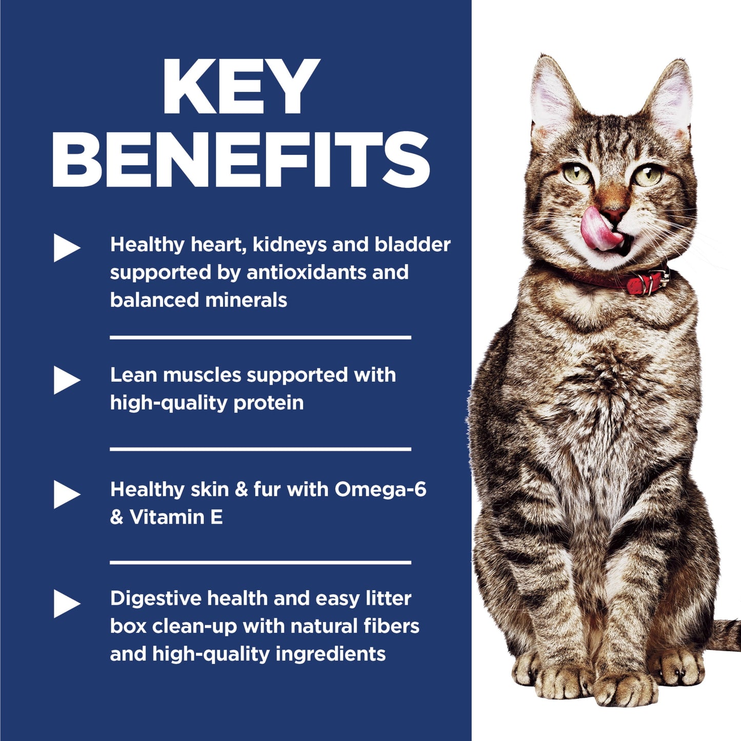 Hill's Science Diet Indoor Chicken Dry Cat Food for 7+ Senior Cats, 3.5lb Bag