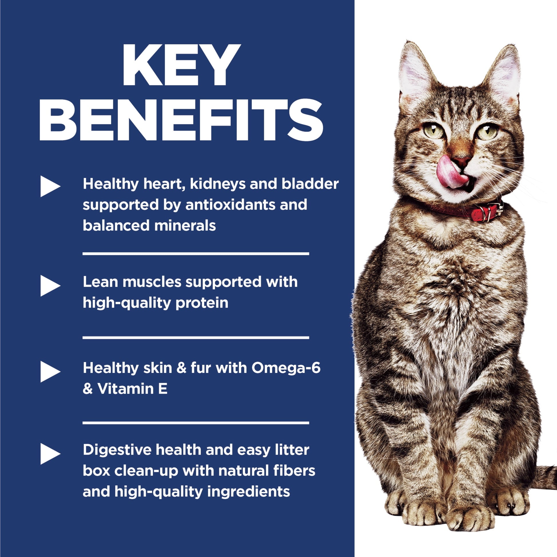 Hill's Science Diet Indoor Chicken Dry Cat Food for 7+ Senior Cats, 3.5lb Bag