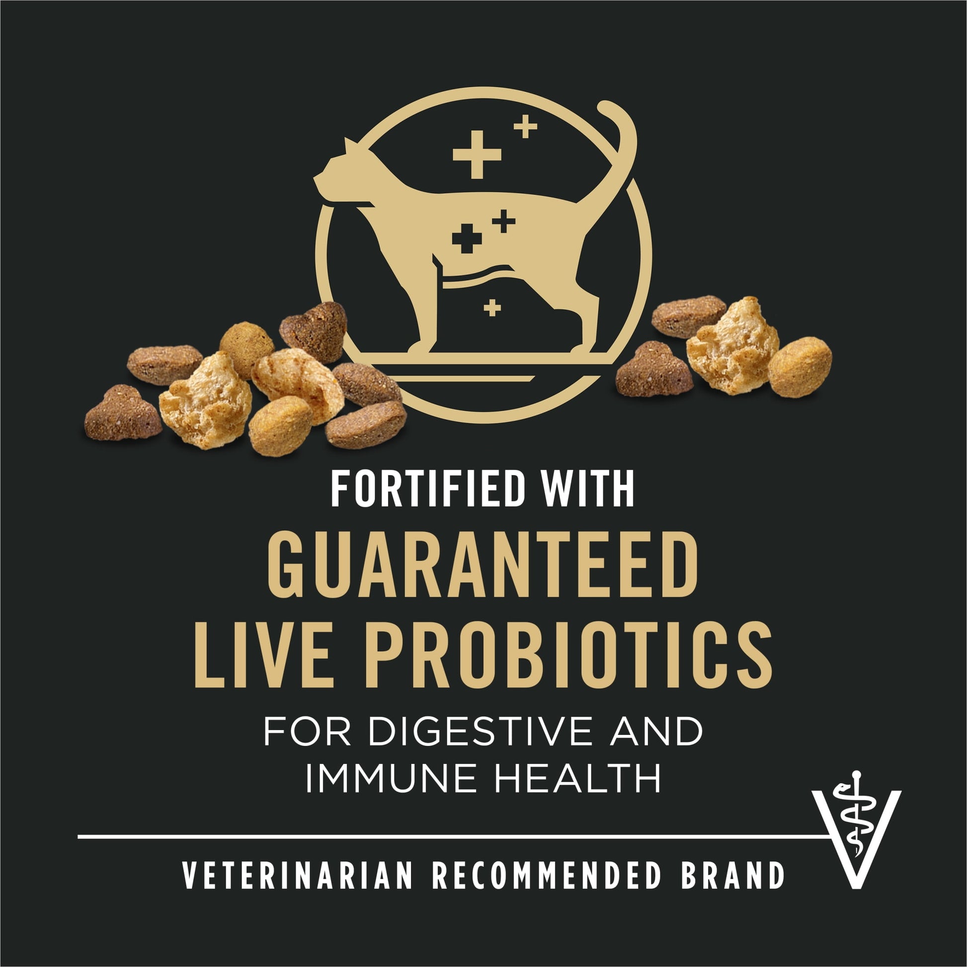 Purina Pro Plan Complete Essentials Dry Cat Food, Salmon & Rice, 3.5 lb Bag