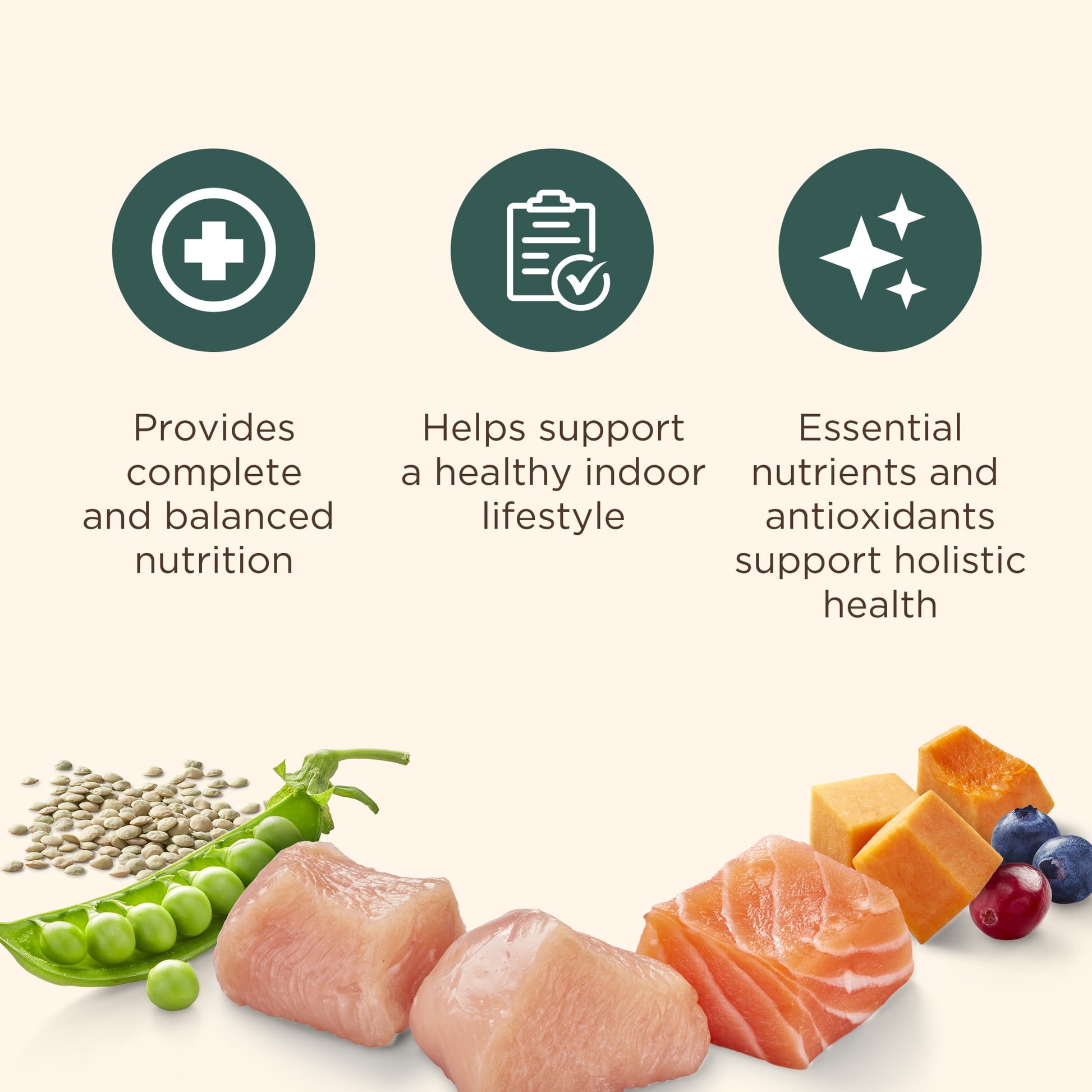 Nutrish Indoor Complete Chicken, Lentils & Salmon Recipe Dry Cat Food 14 lb. Bag (Rachael Ray)